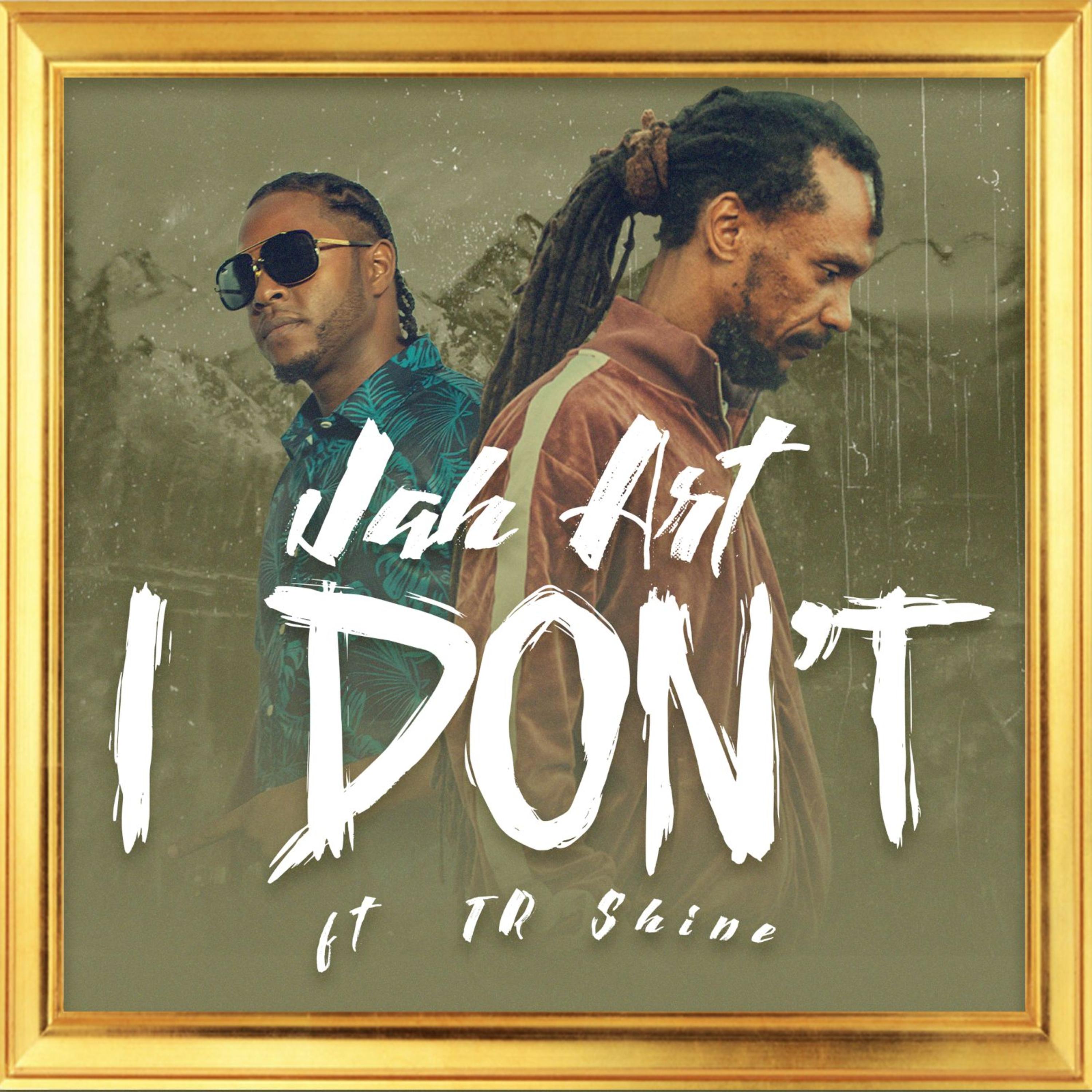 I DON'T artwork