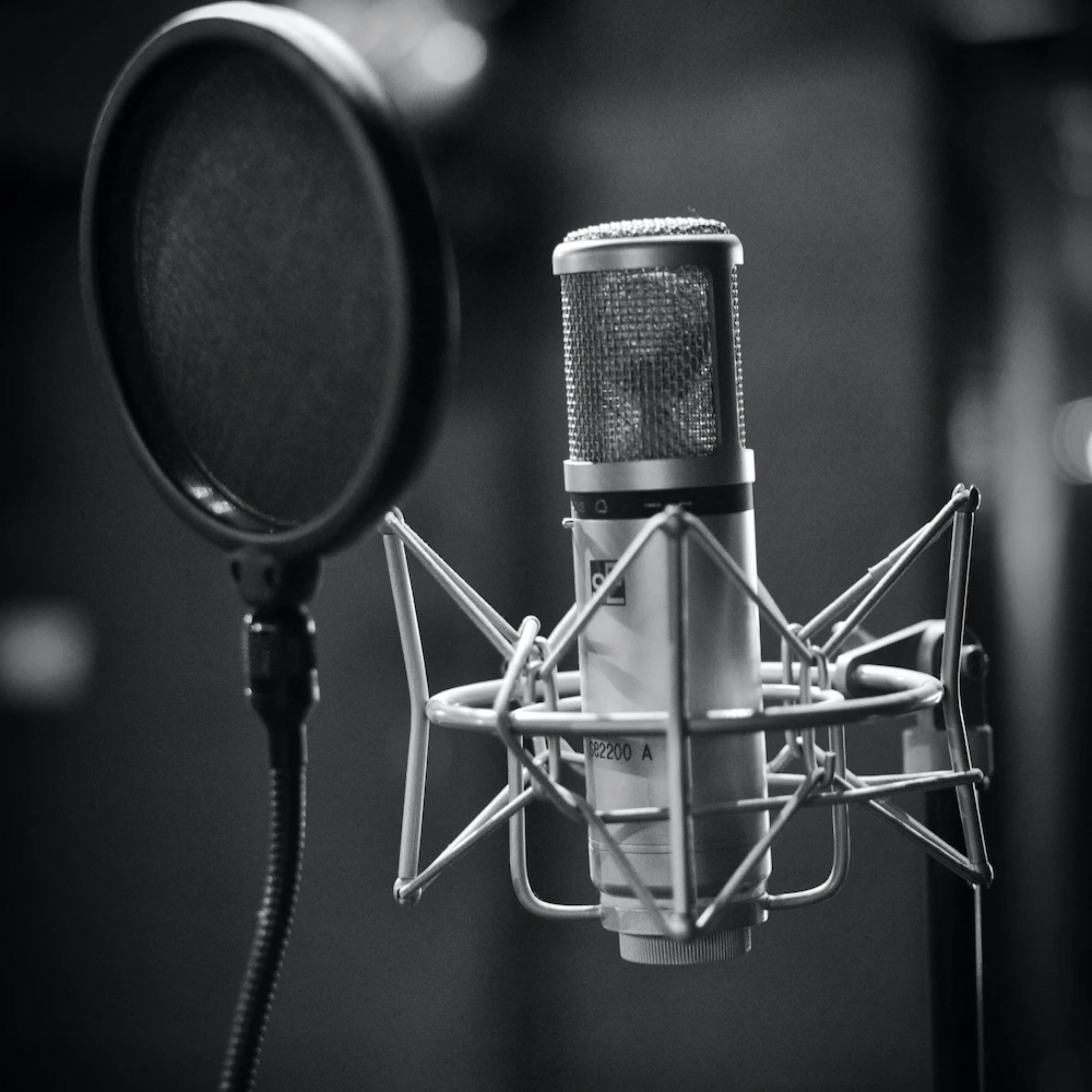 behind a microphone artwork