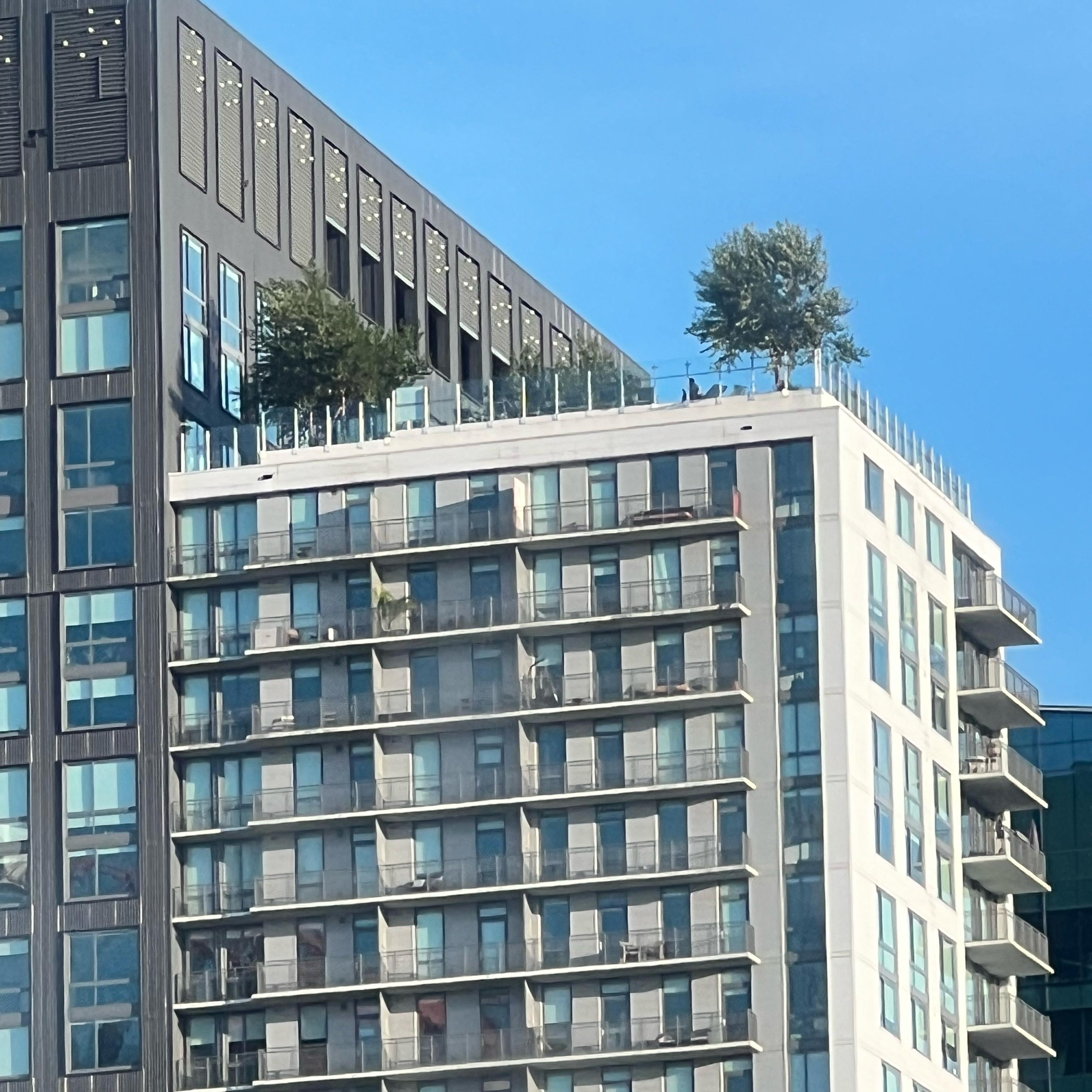 Pussy( diet ) artwork