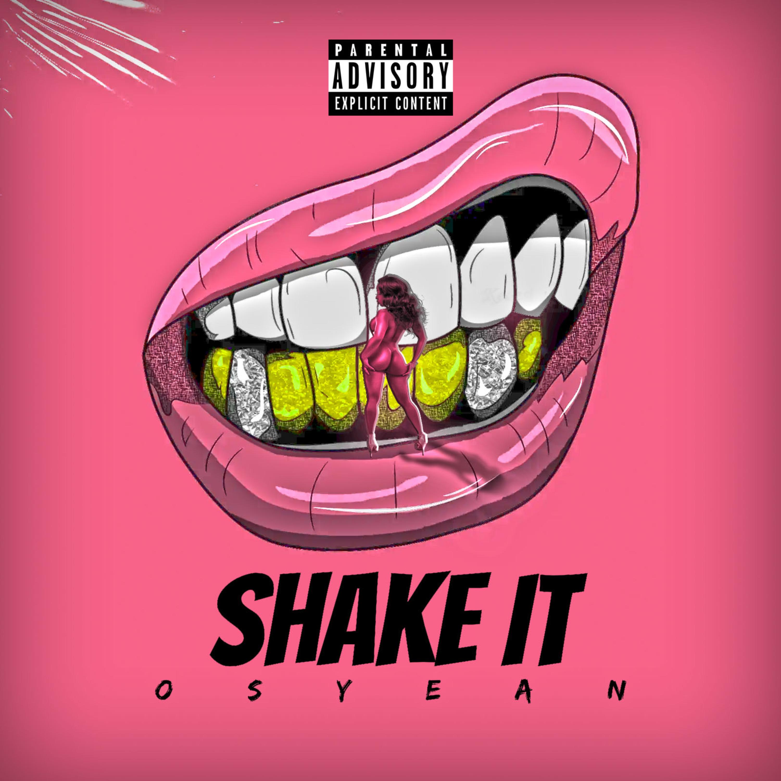 SHAKE IT artwork