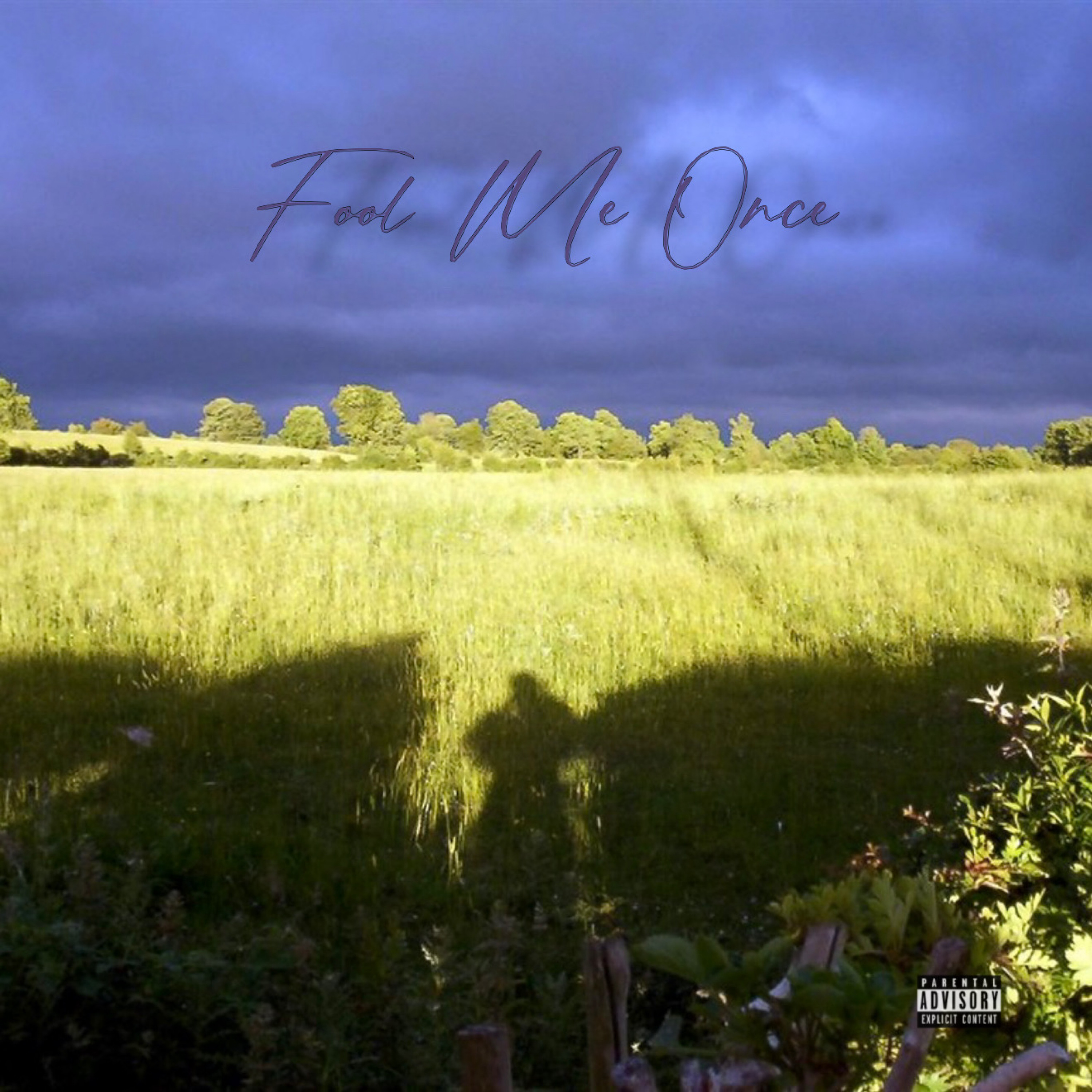 Fool Me Once artwork