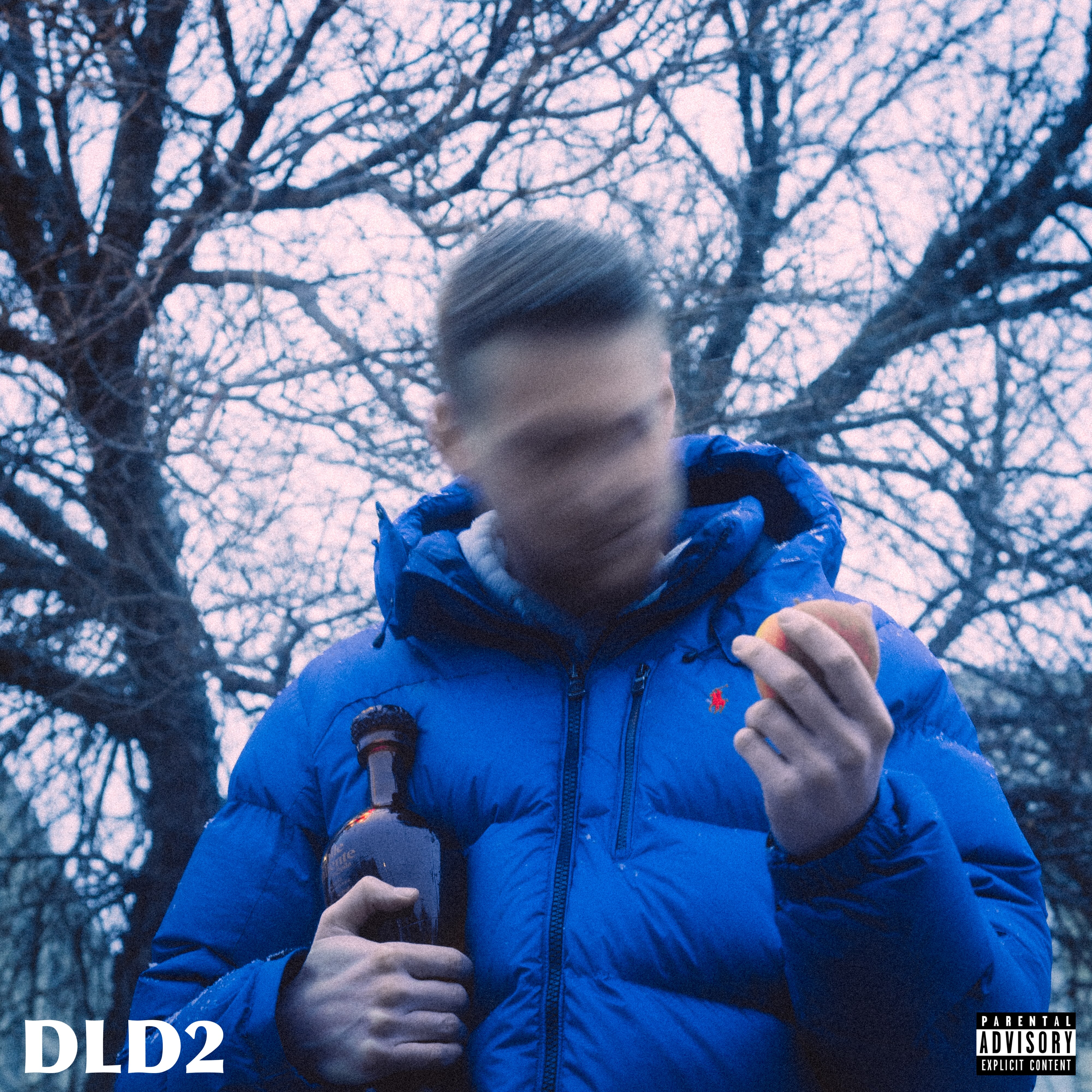 DLD2 by Andre Jeanson cover art