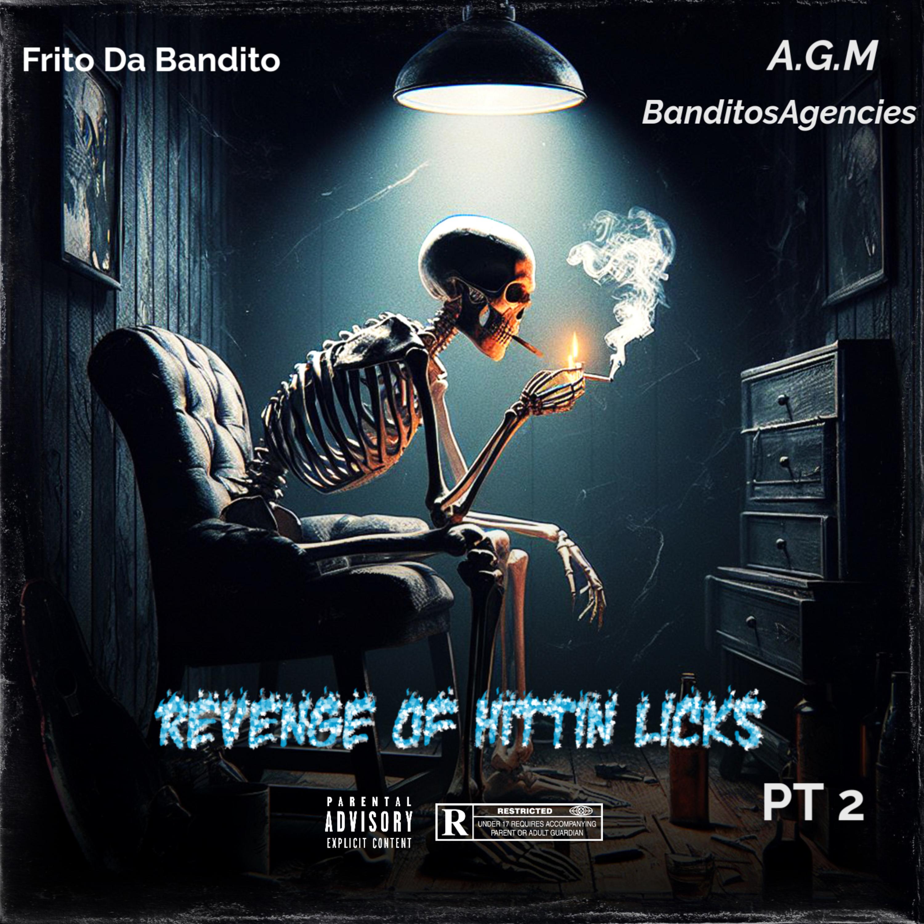 Revenge Of Hittin Licks Pt 2 artwork
