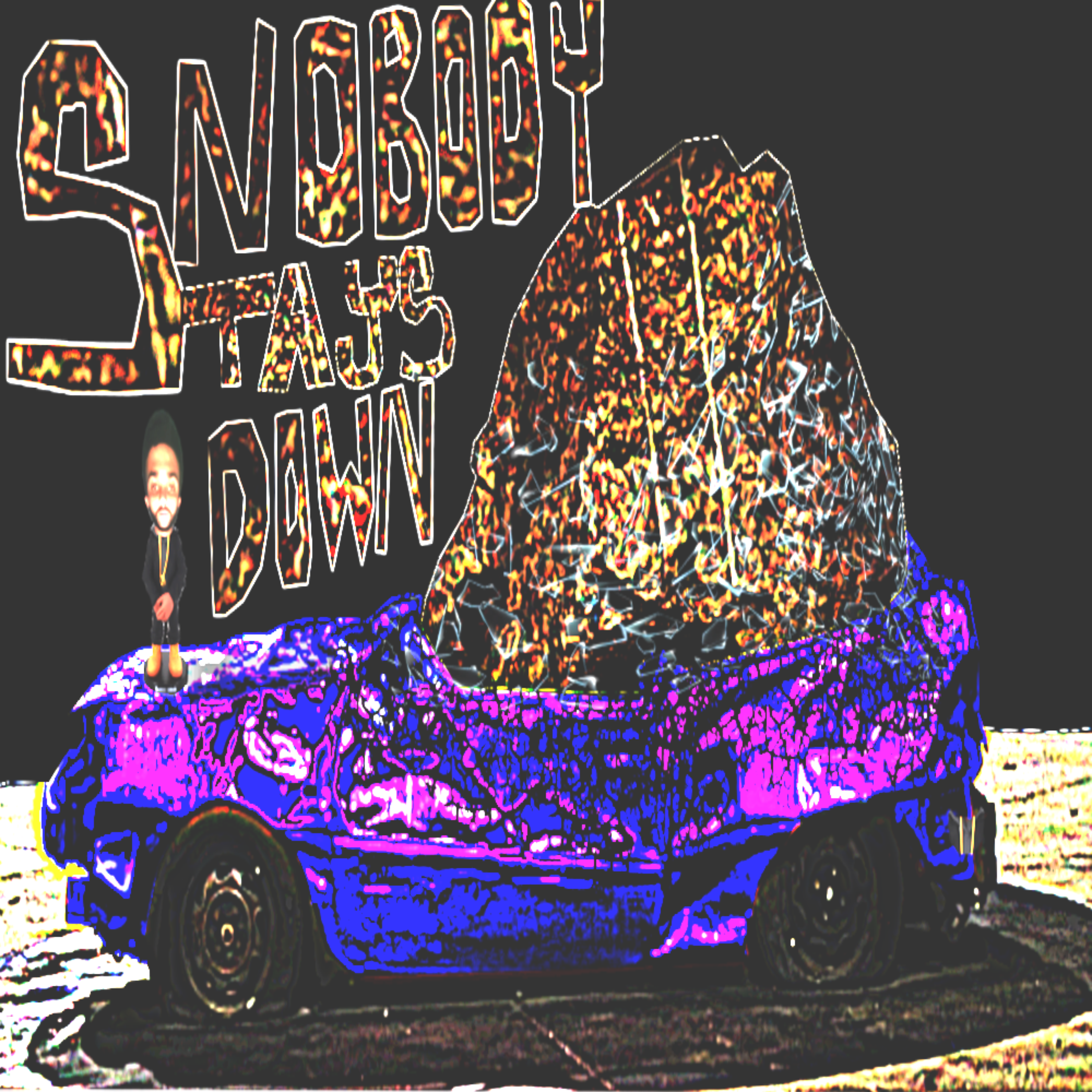 Nobody Stays Down artwork