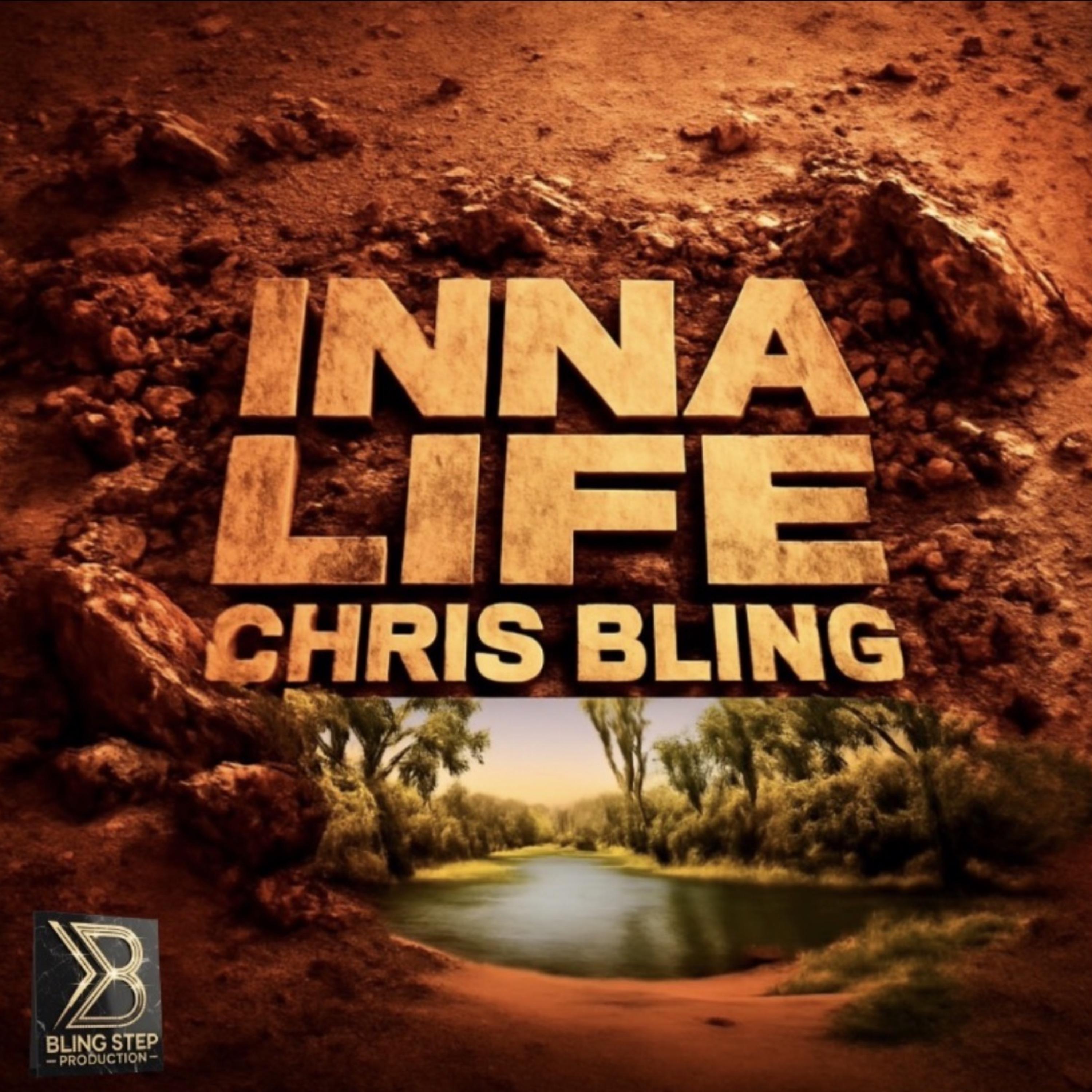 inna life artwork