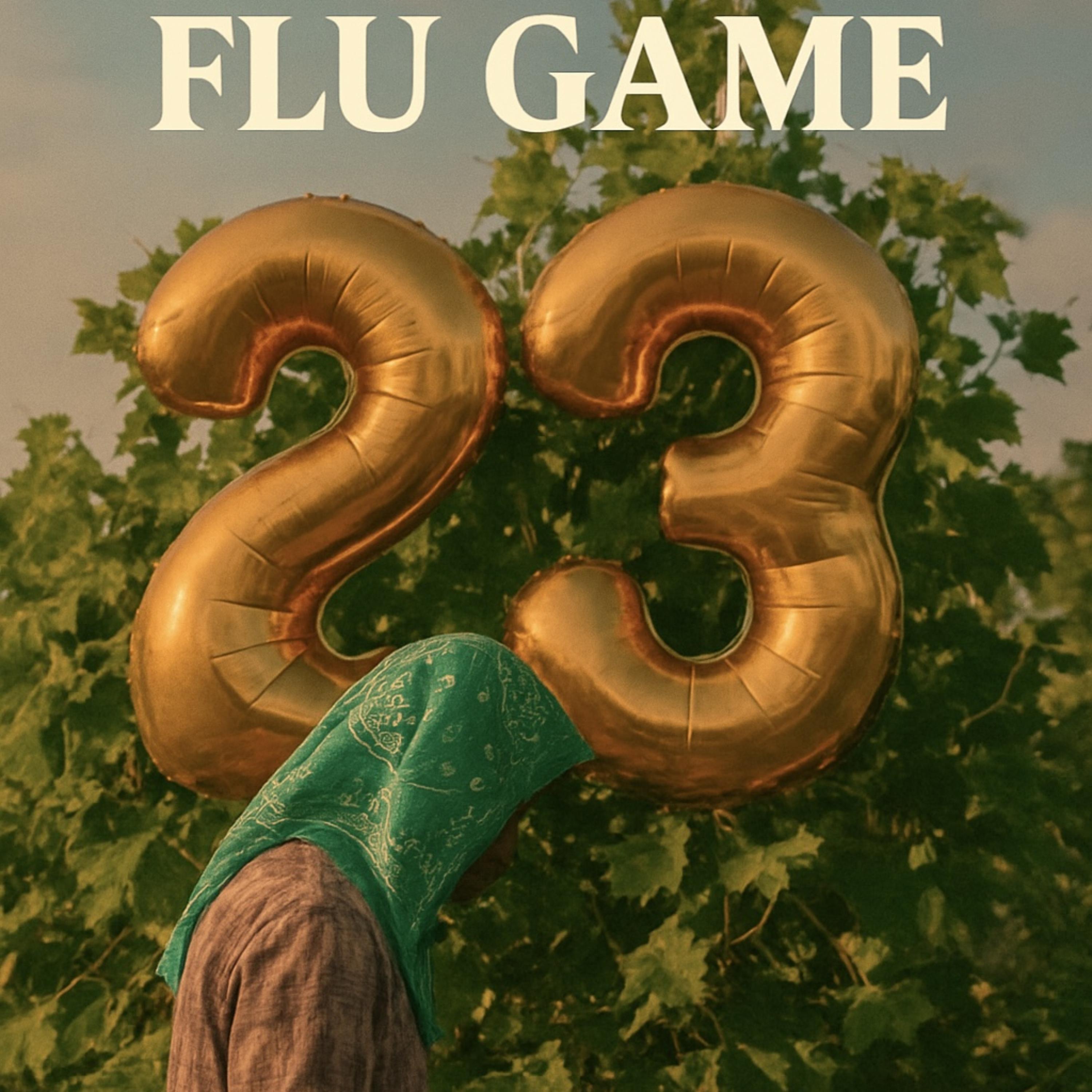 Flu Game artwork