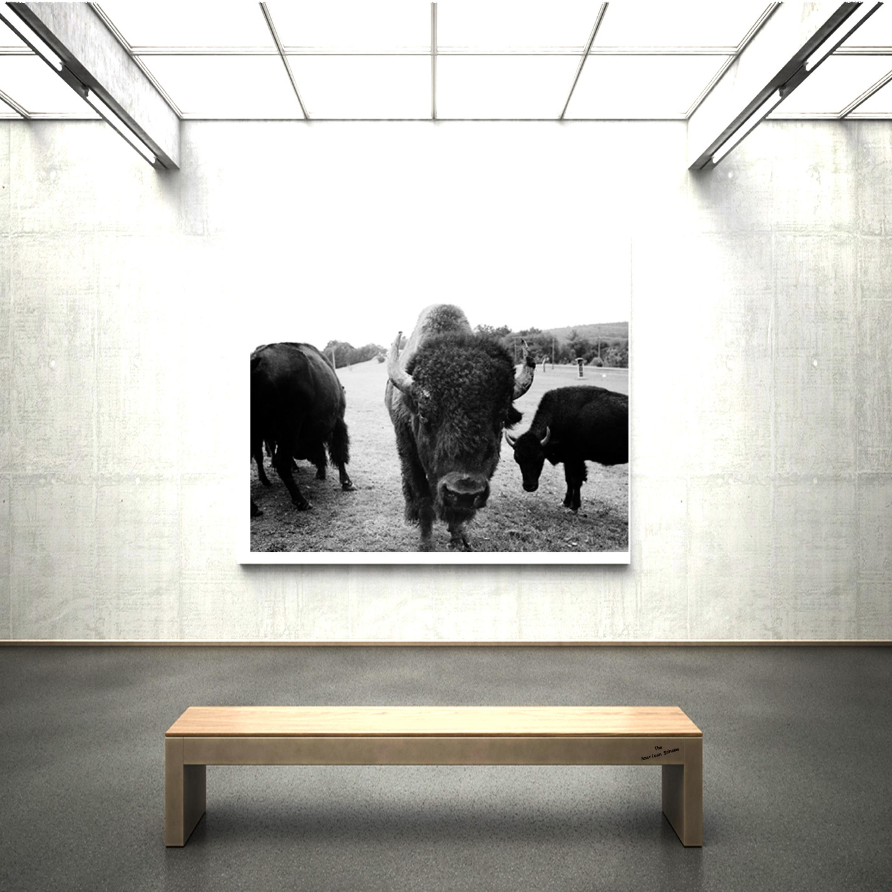 Buffalo artwork