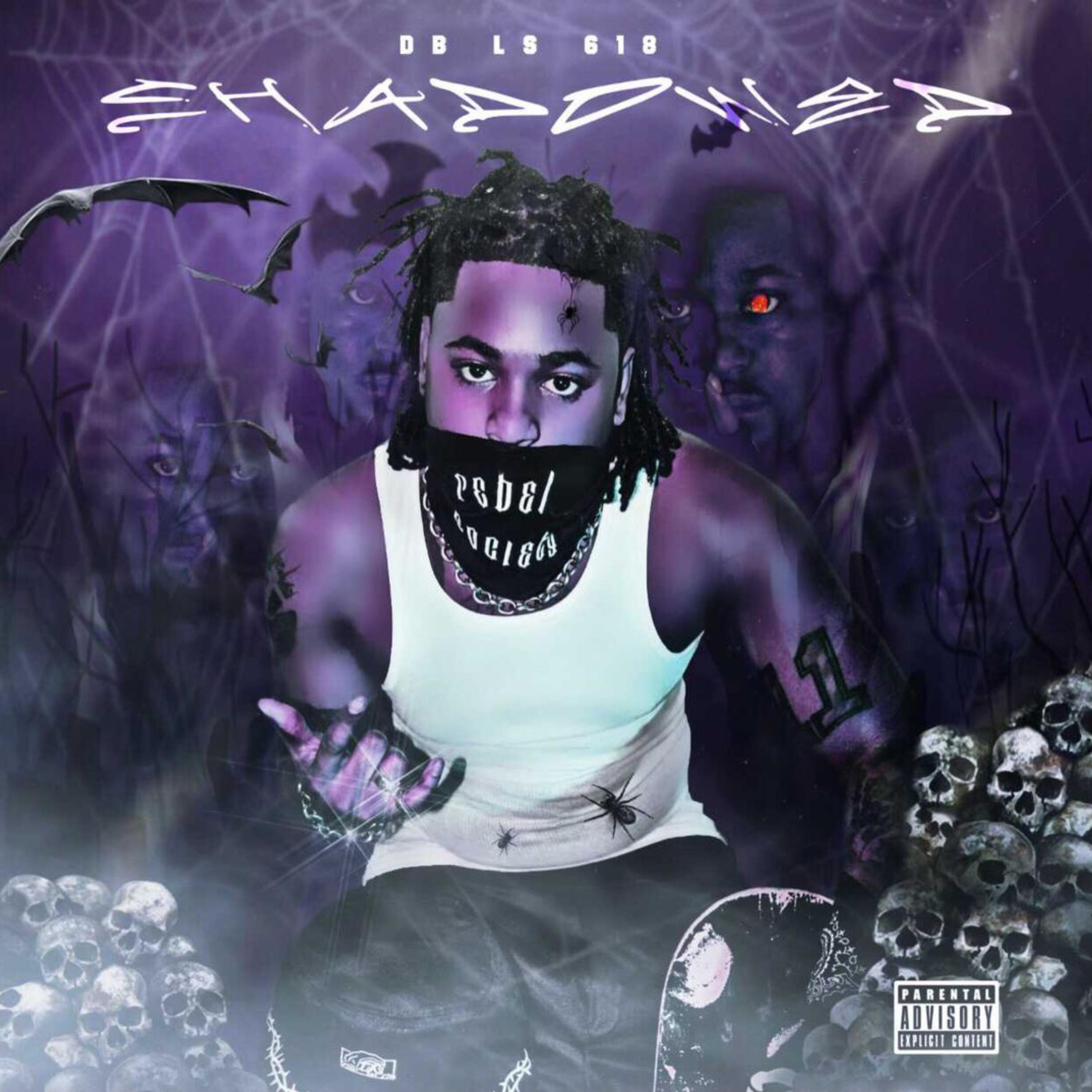 S H A D O W E D artwork