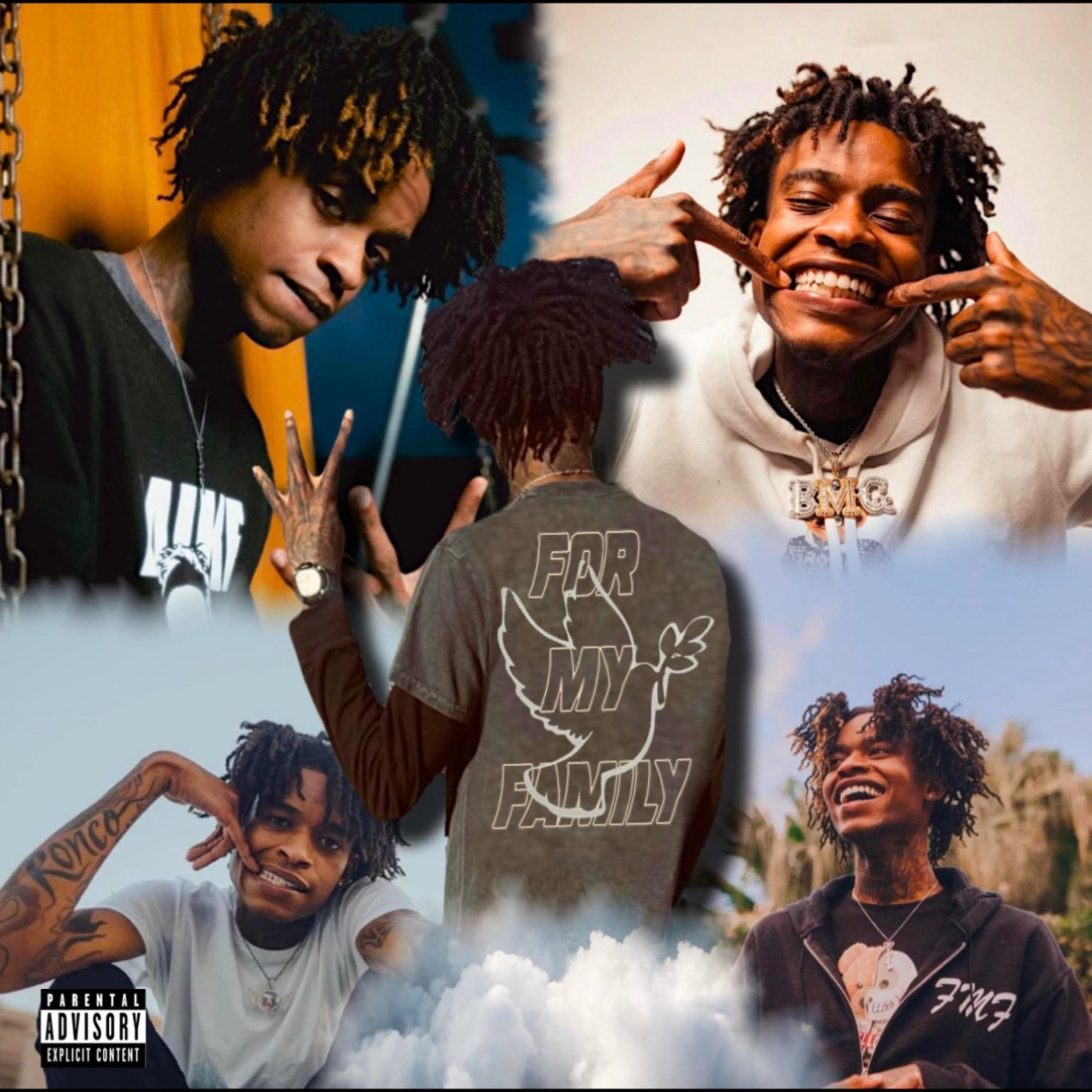 FMF Freestyle artwork