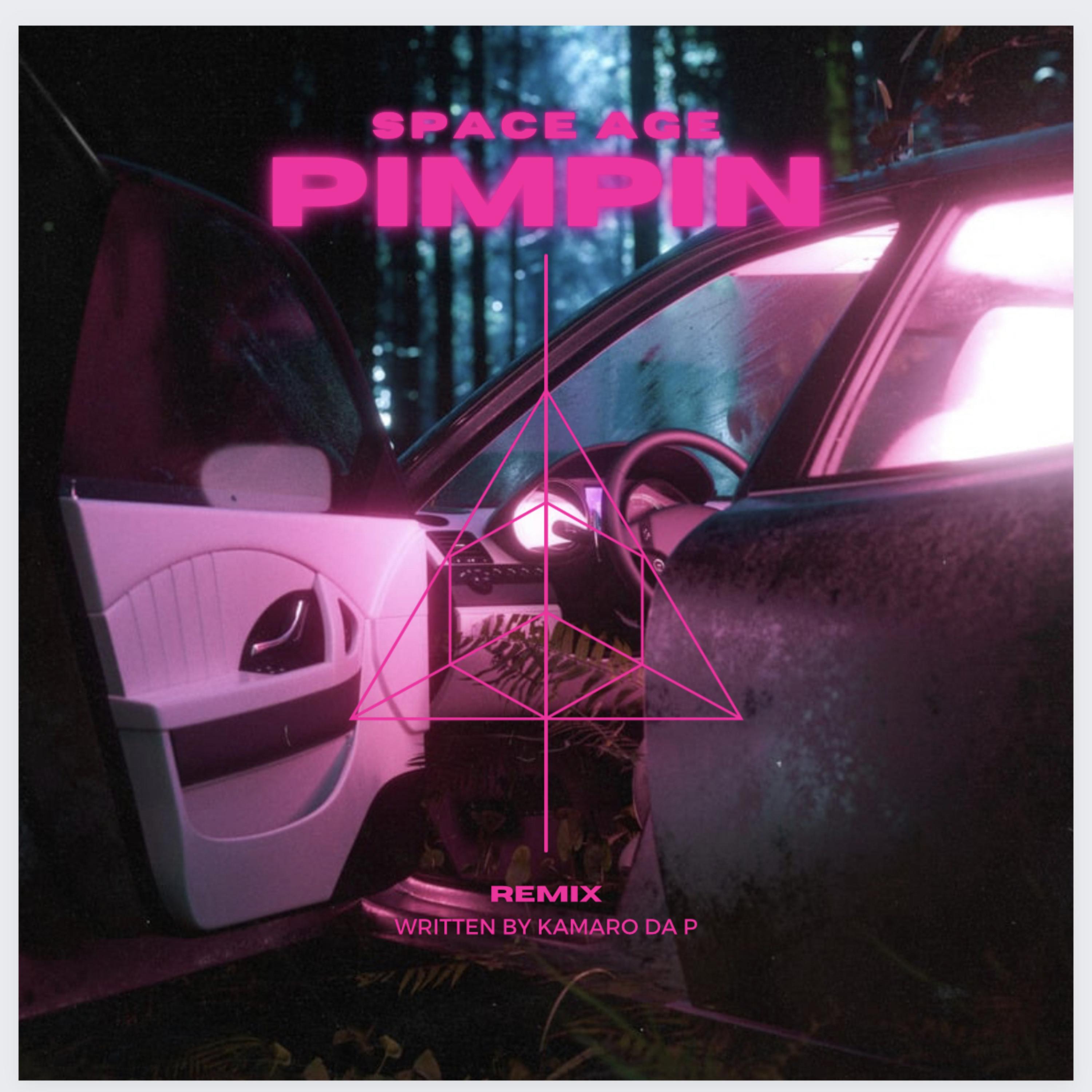 Space Age Pimpin (Remix) artwork