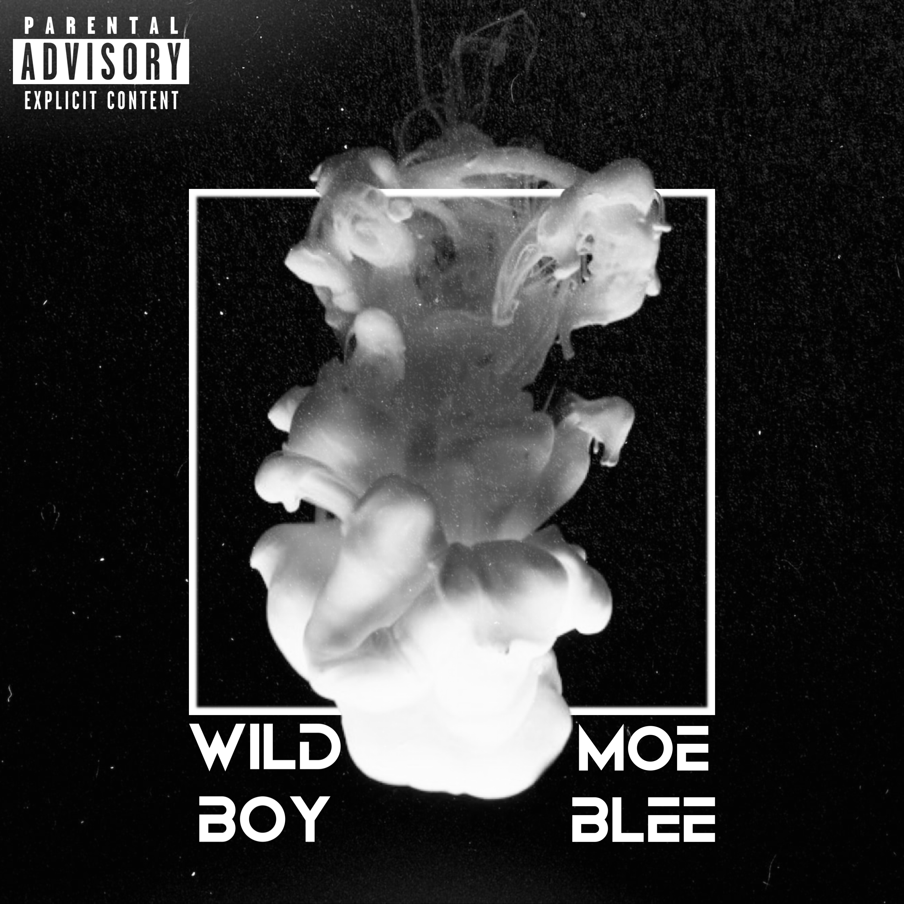 Wild Boy artwork