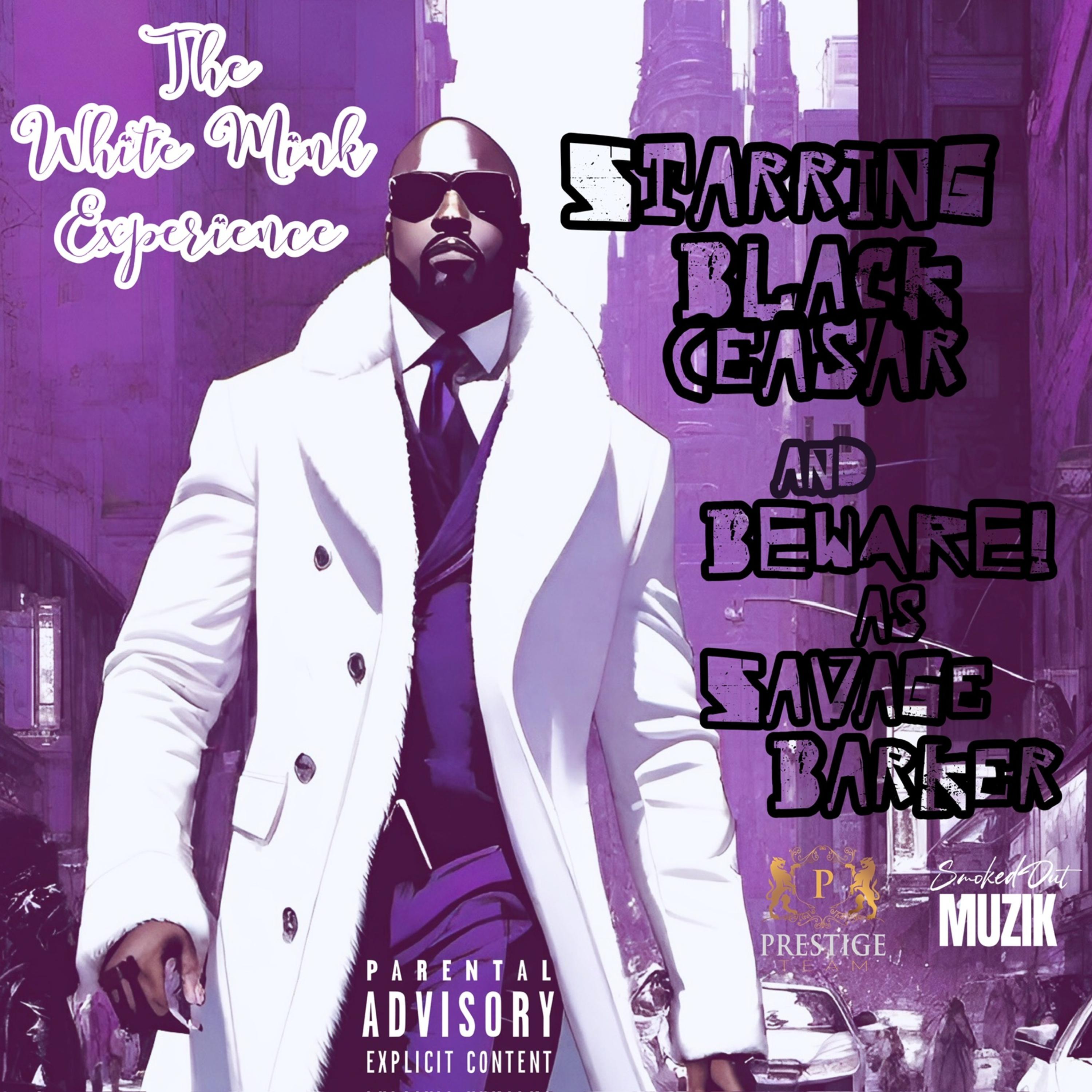 The White Mink Experience artwork