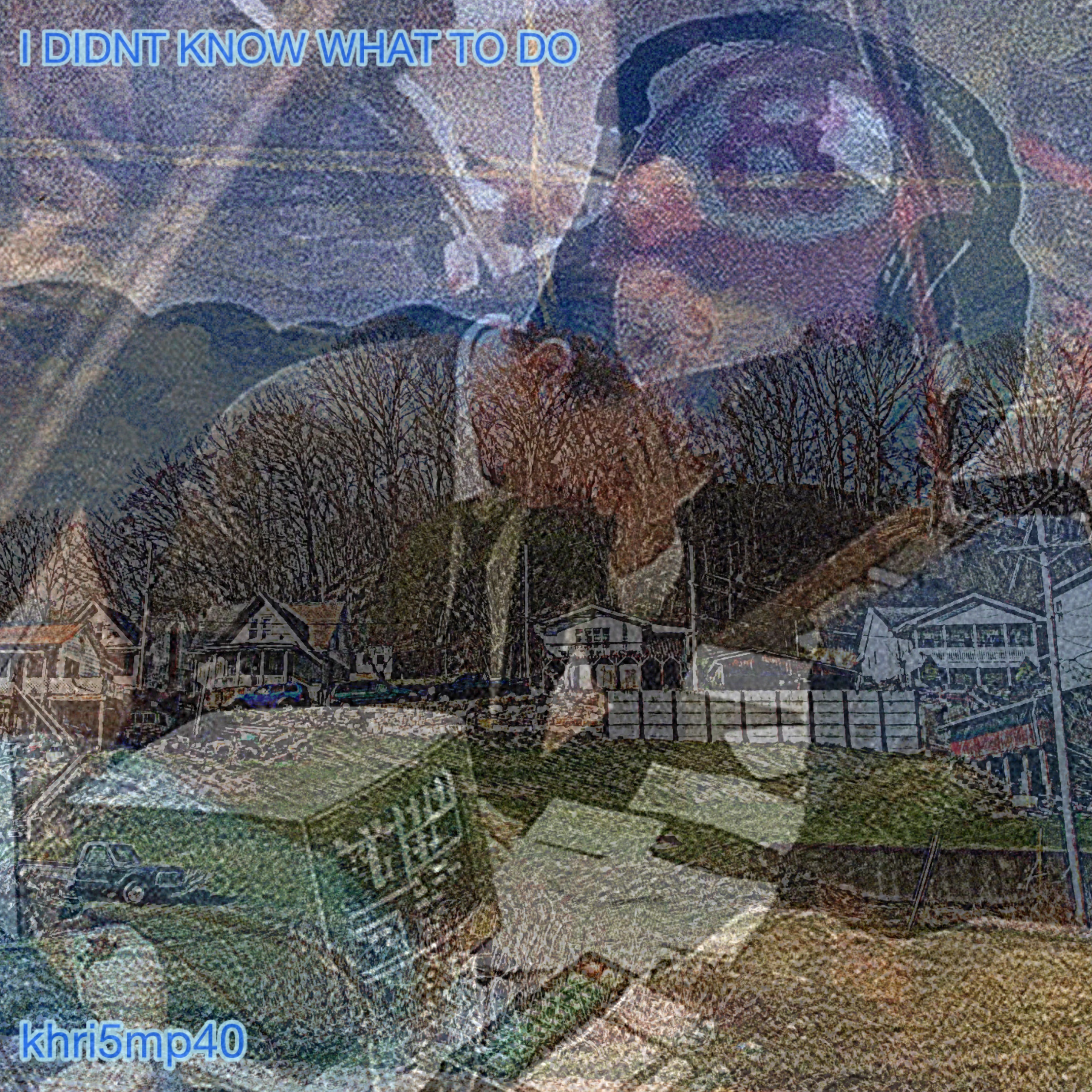 I DIDNT KNOW WHAT TO DO artwork
