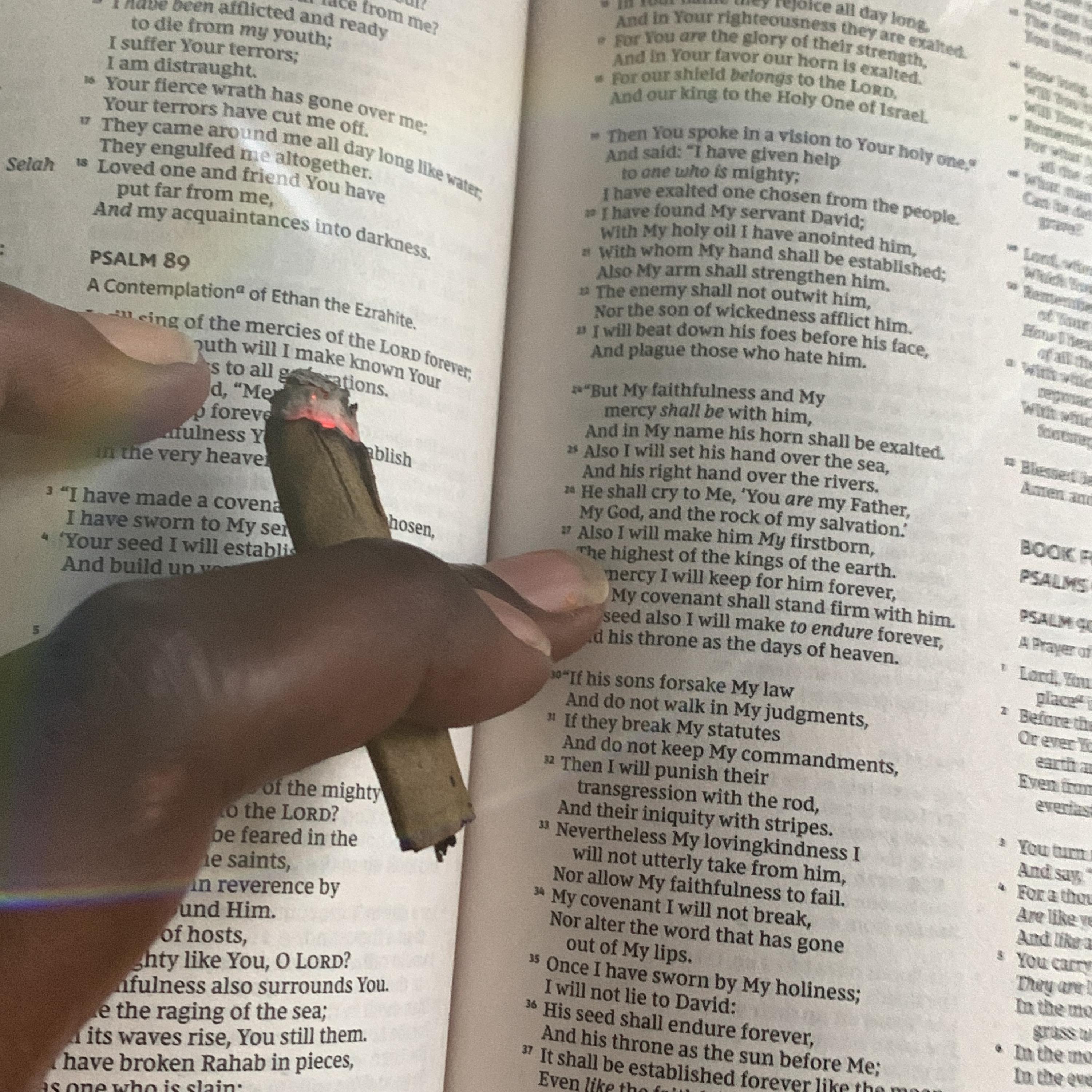 QP OFF DELIVERY GOTTA KEEP THE MOP AND artwork