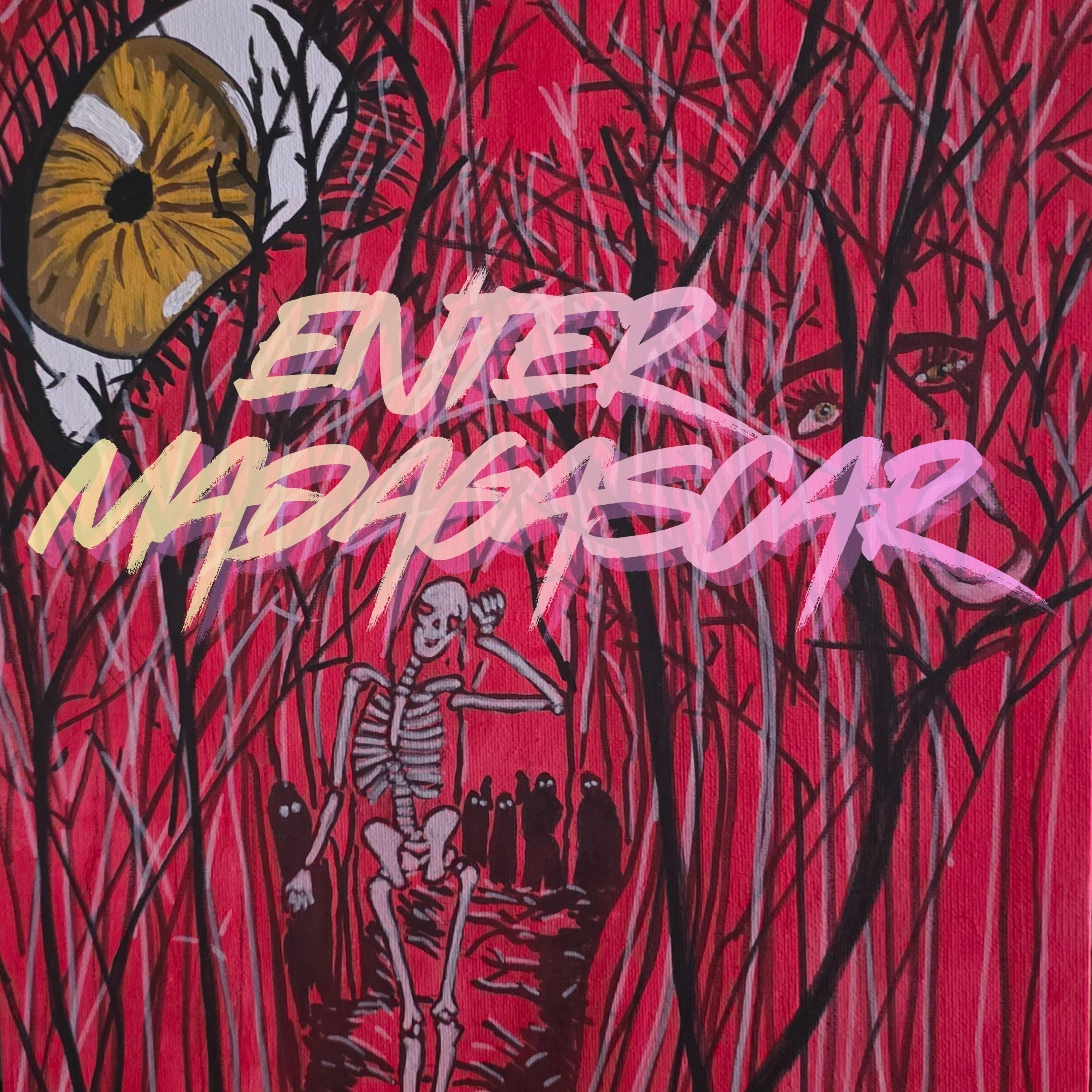 Enter Madagascar artwork