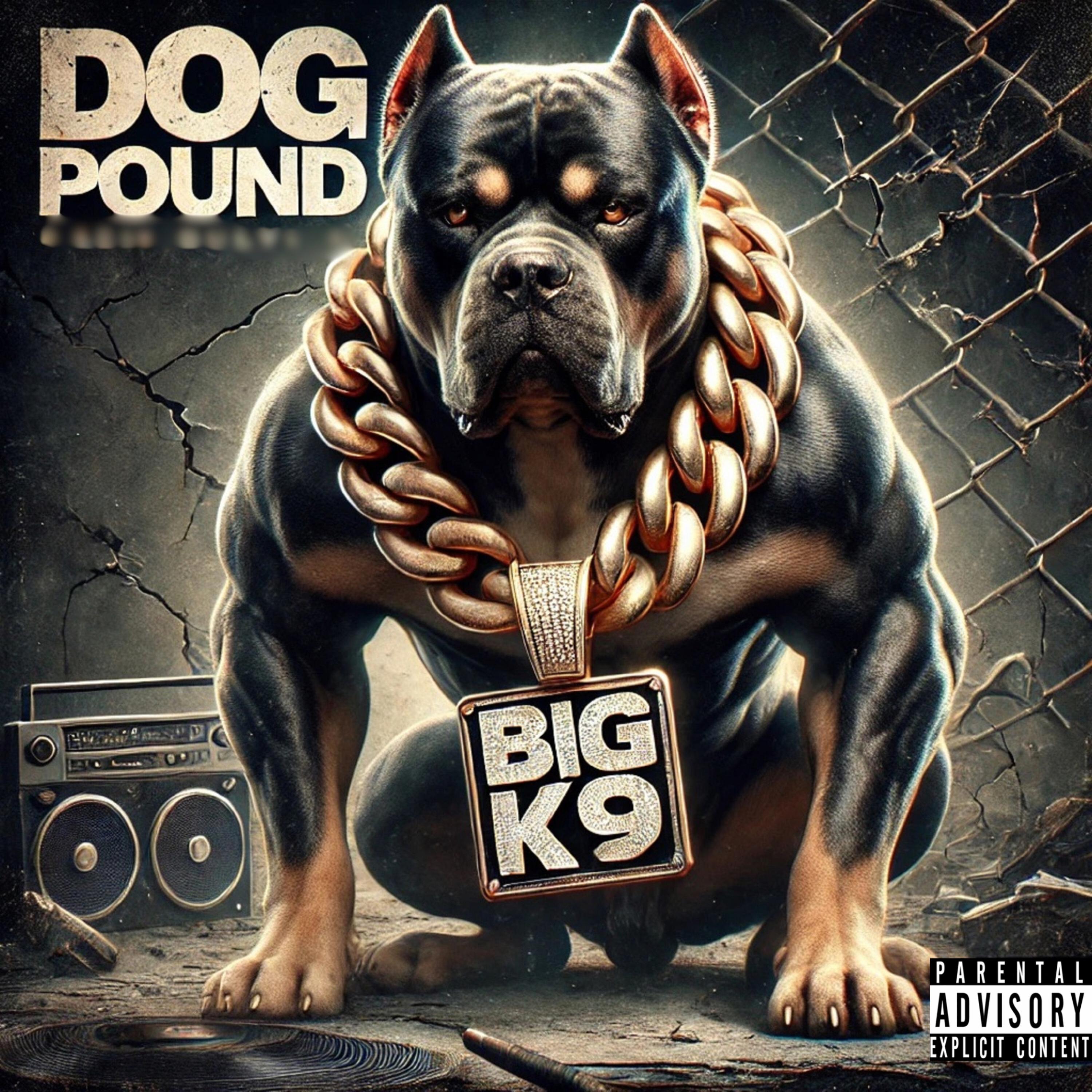 DOG POUND artwork