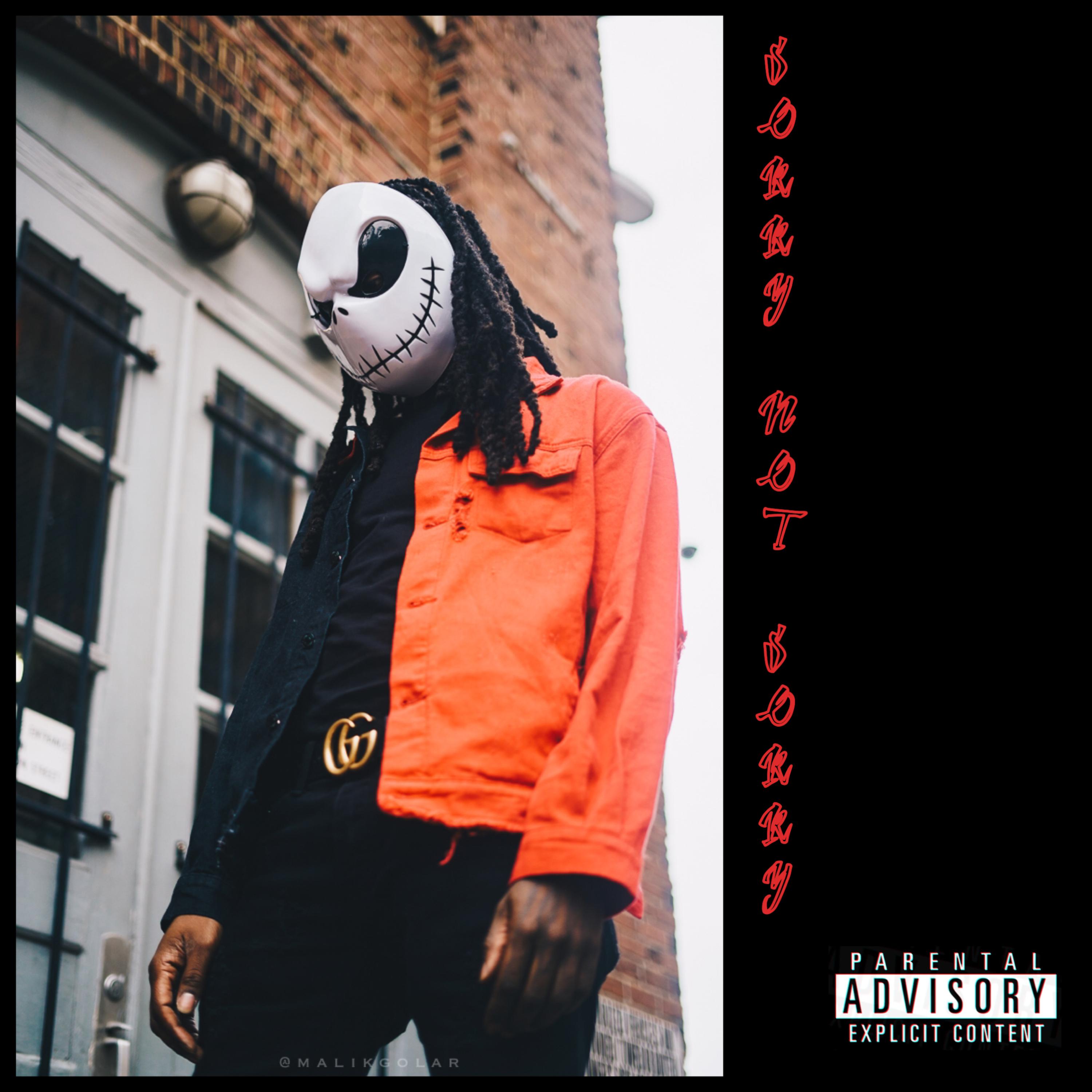 Sorry Not Sorry artwork
