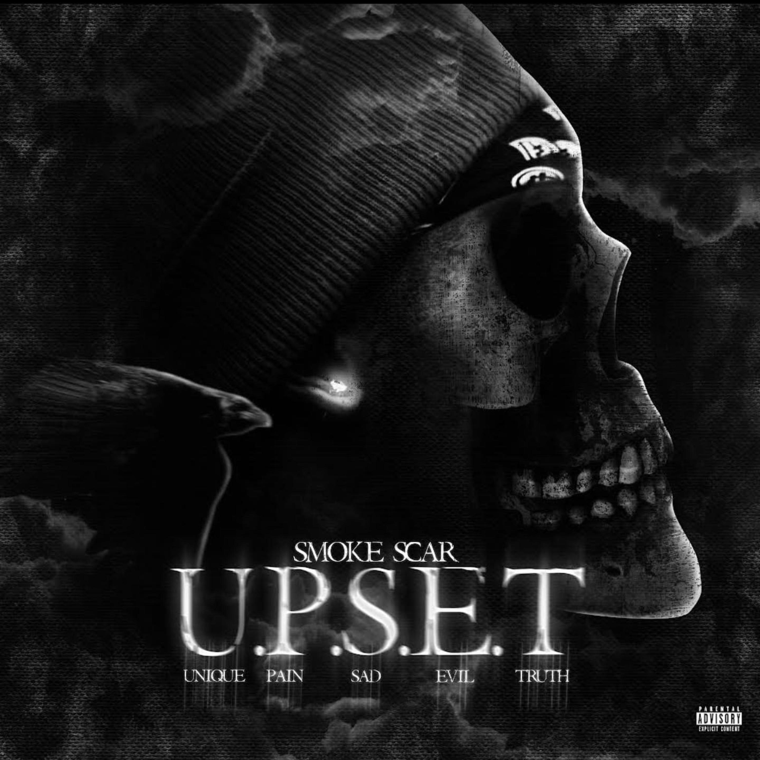 U.P.S.E.T (Unique.Pain.Sad.Evil.Truth) artwork