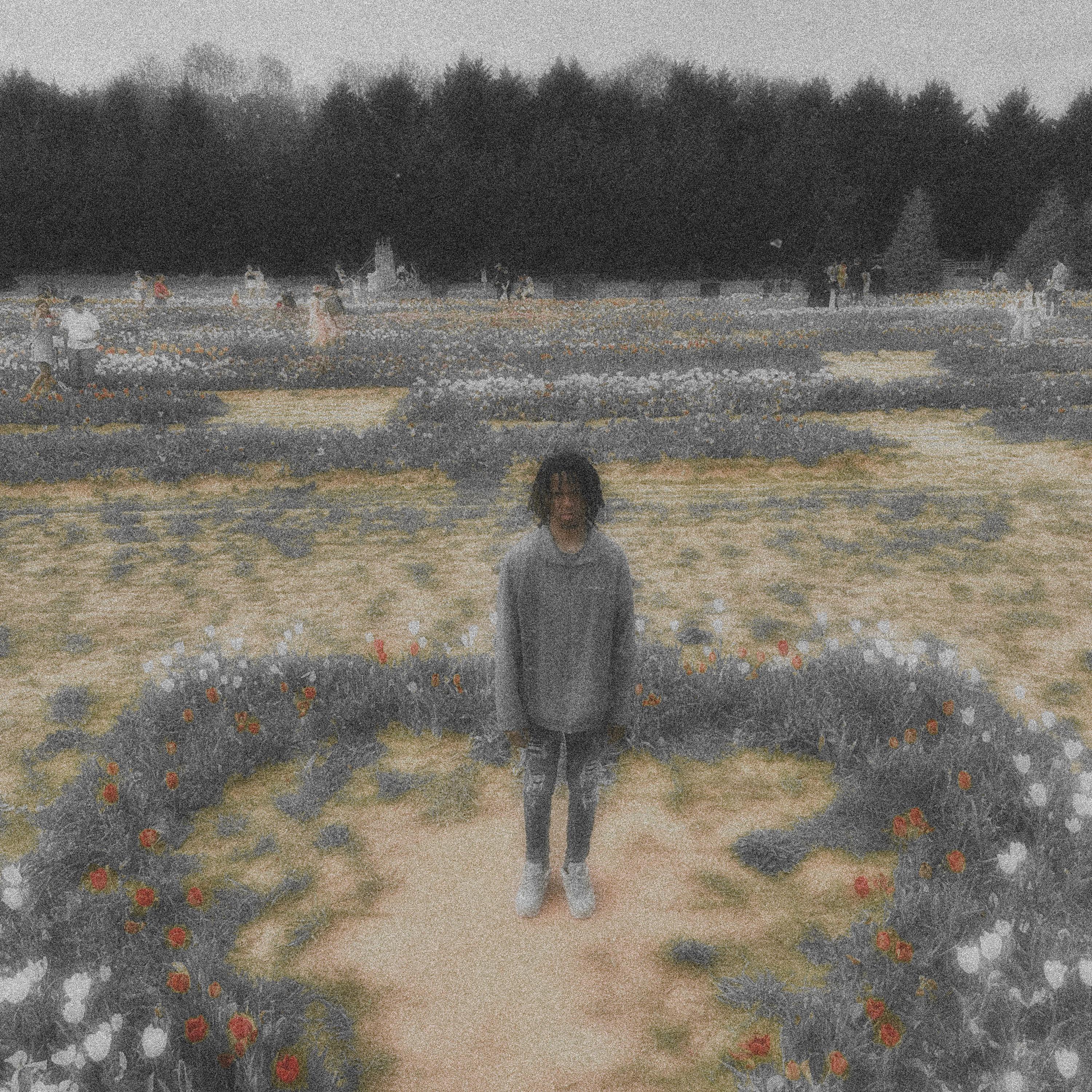 ALIVE artwork