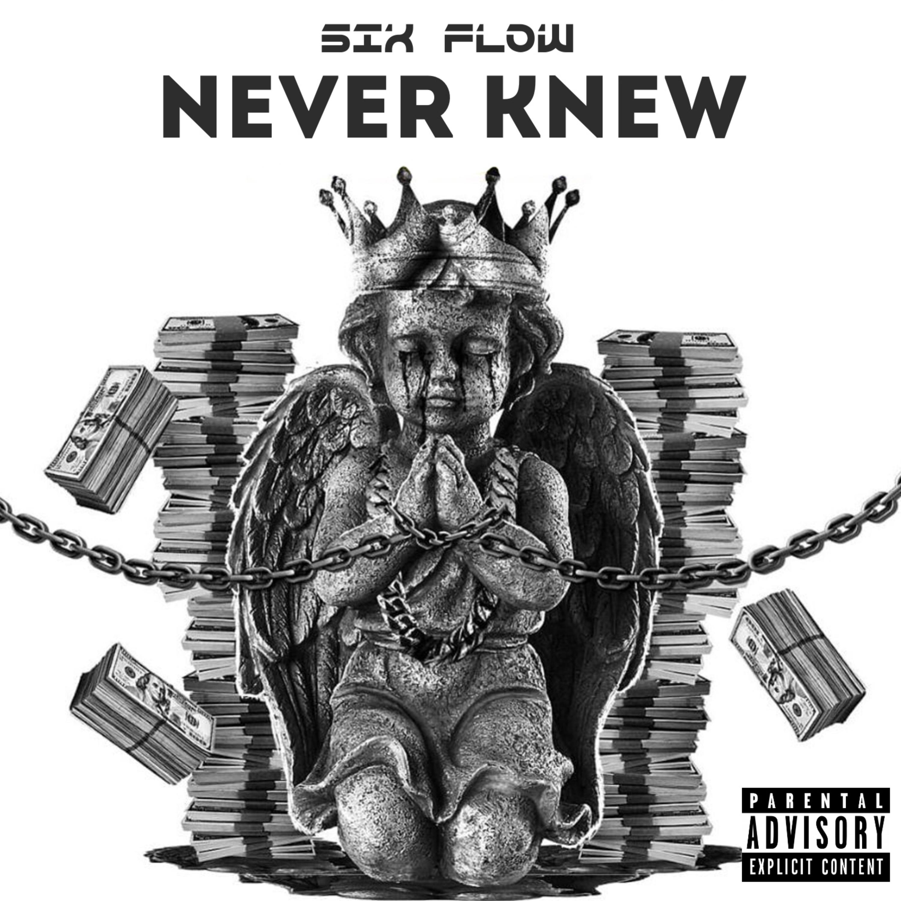NEVER KNEW by Six Flow cover art