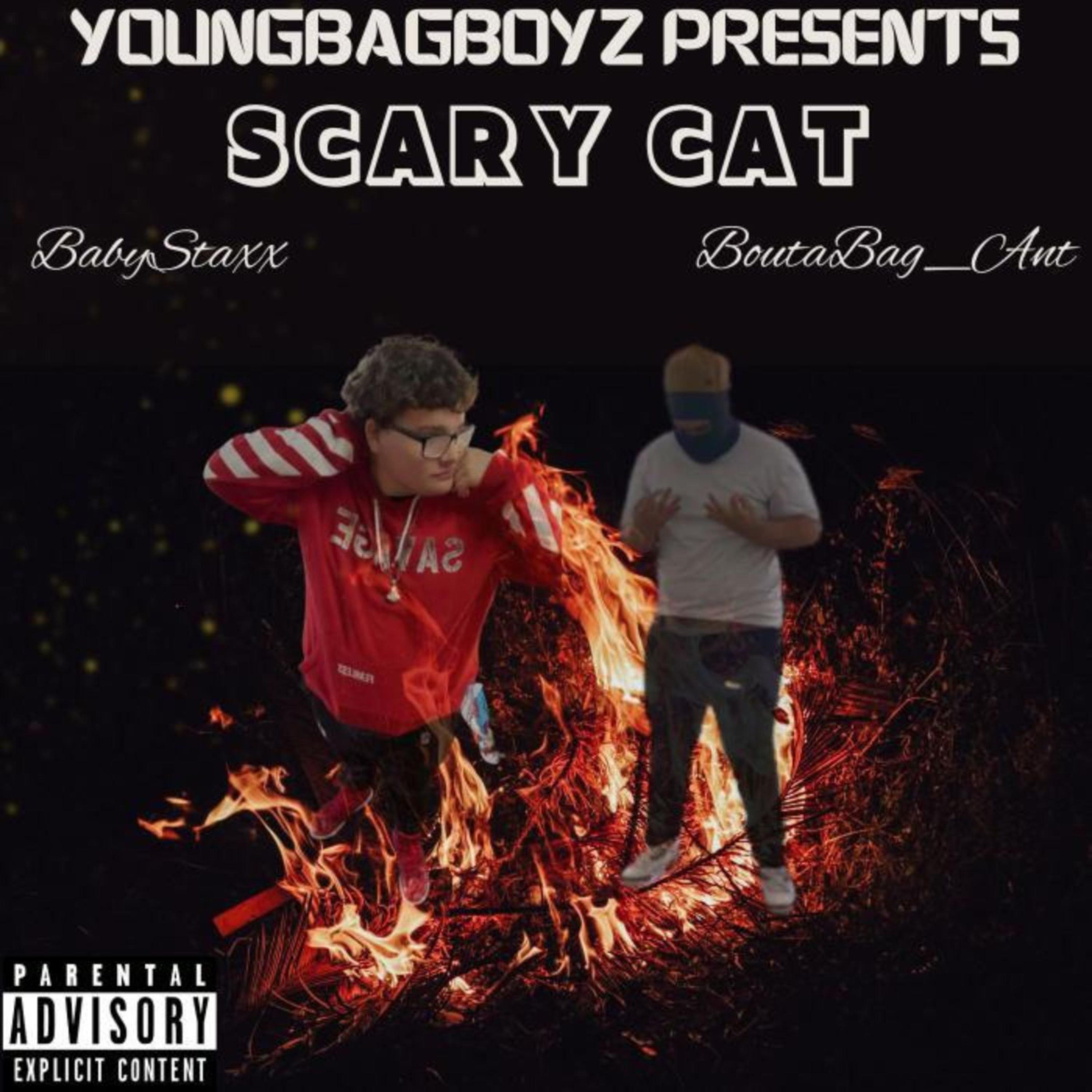 Scary Cat artwork