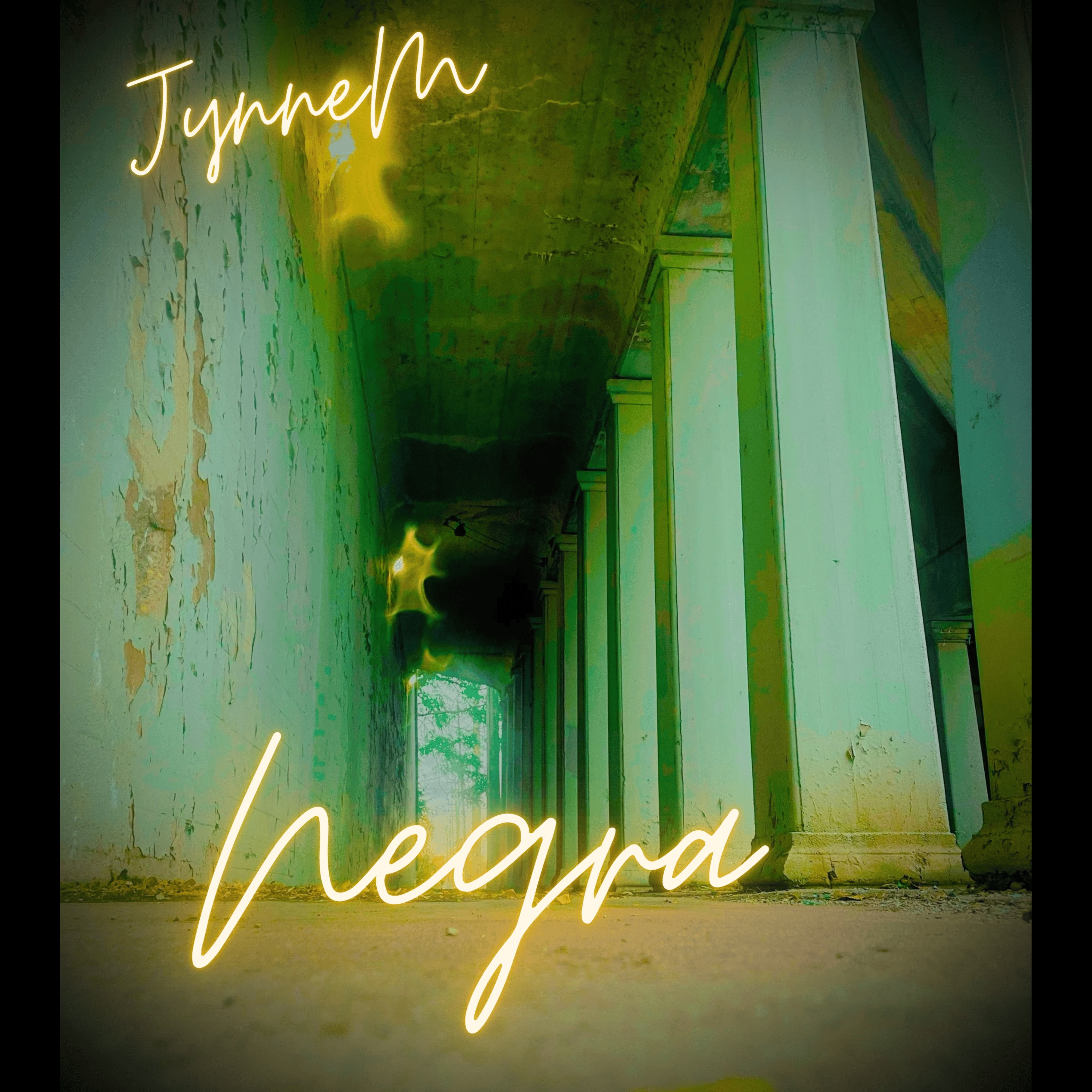 Negra artwork