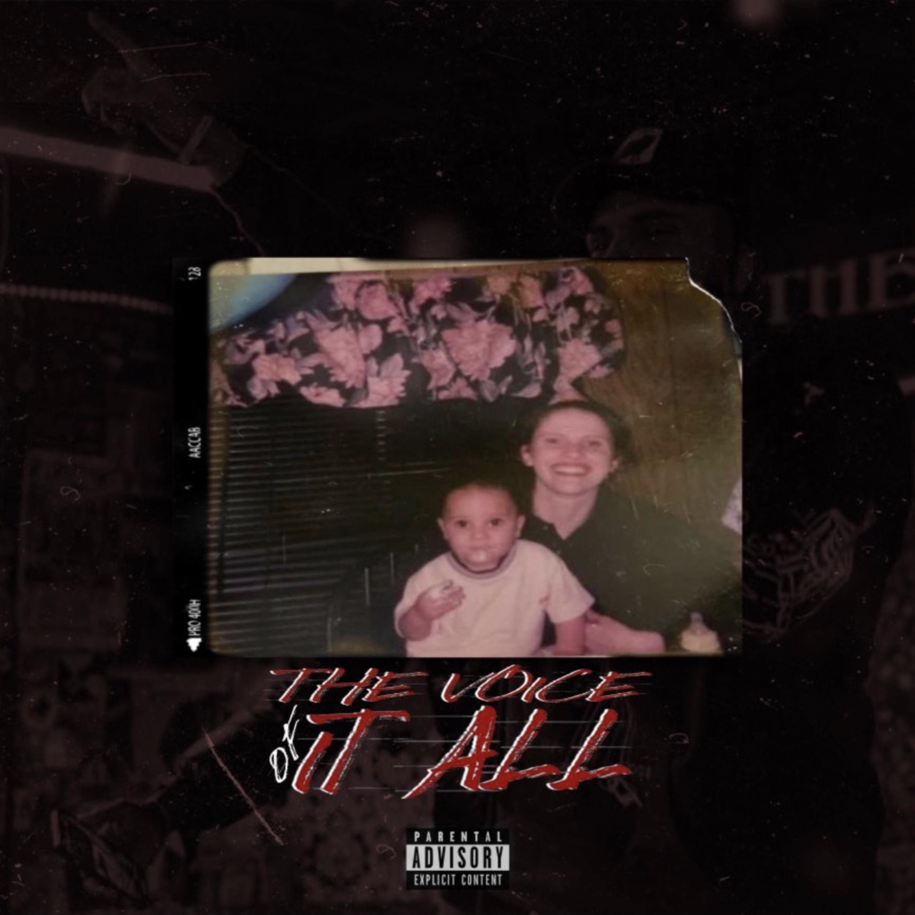 The Voice Of It All artwork