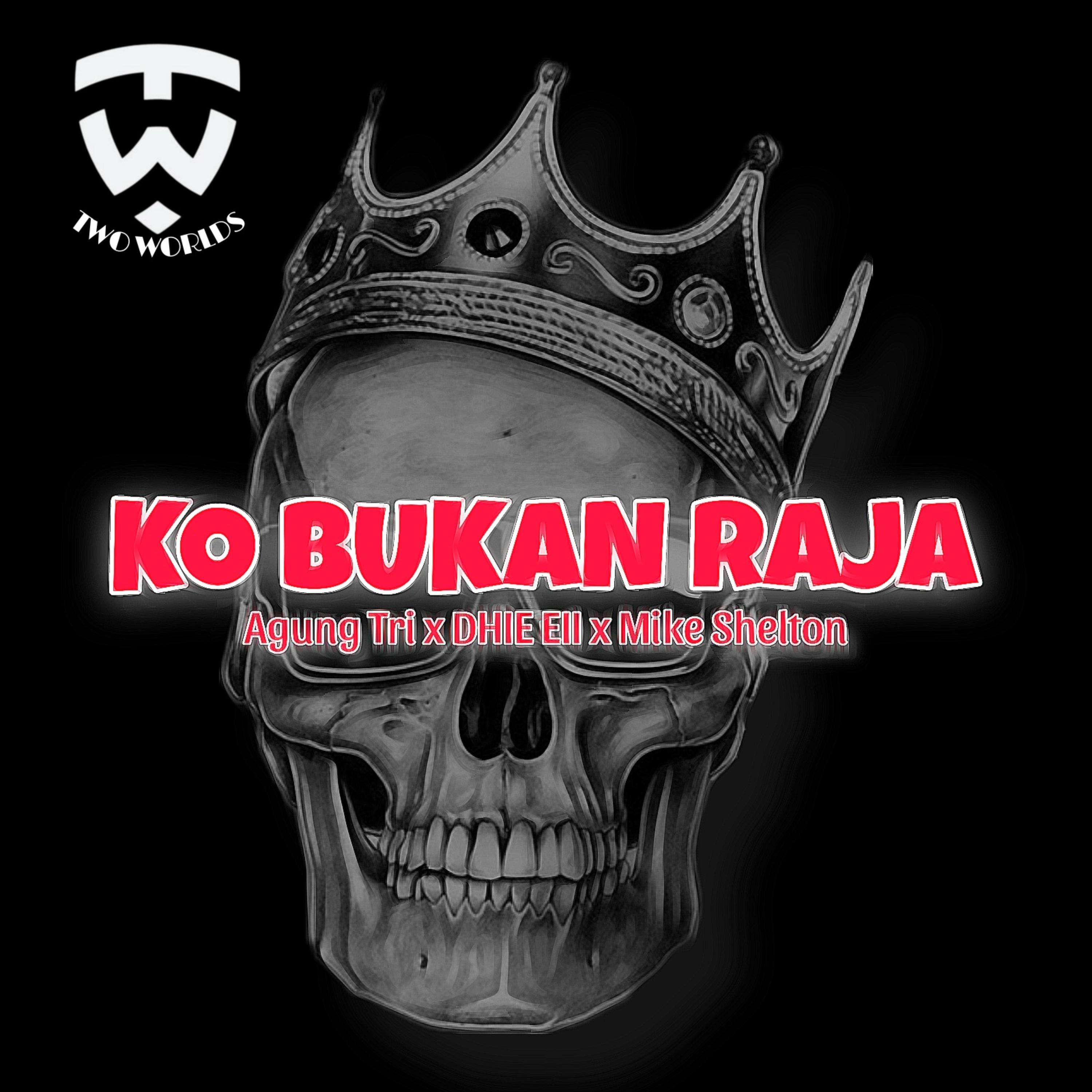 Ko Bukan Raja artwork