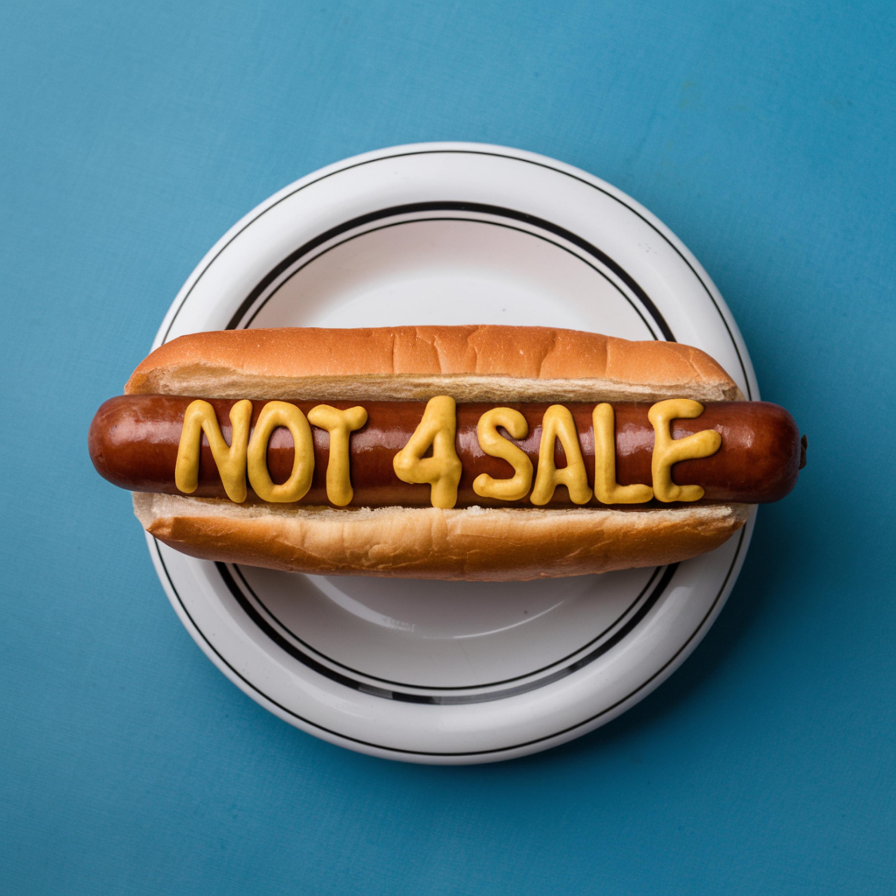 Not 4 Sale artwork