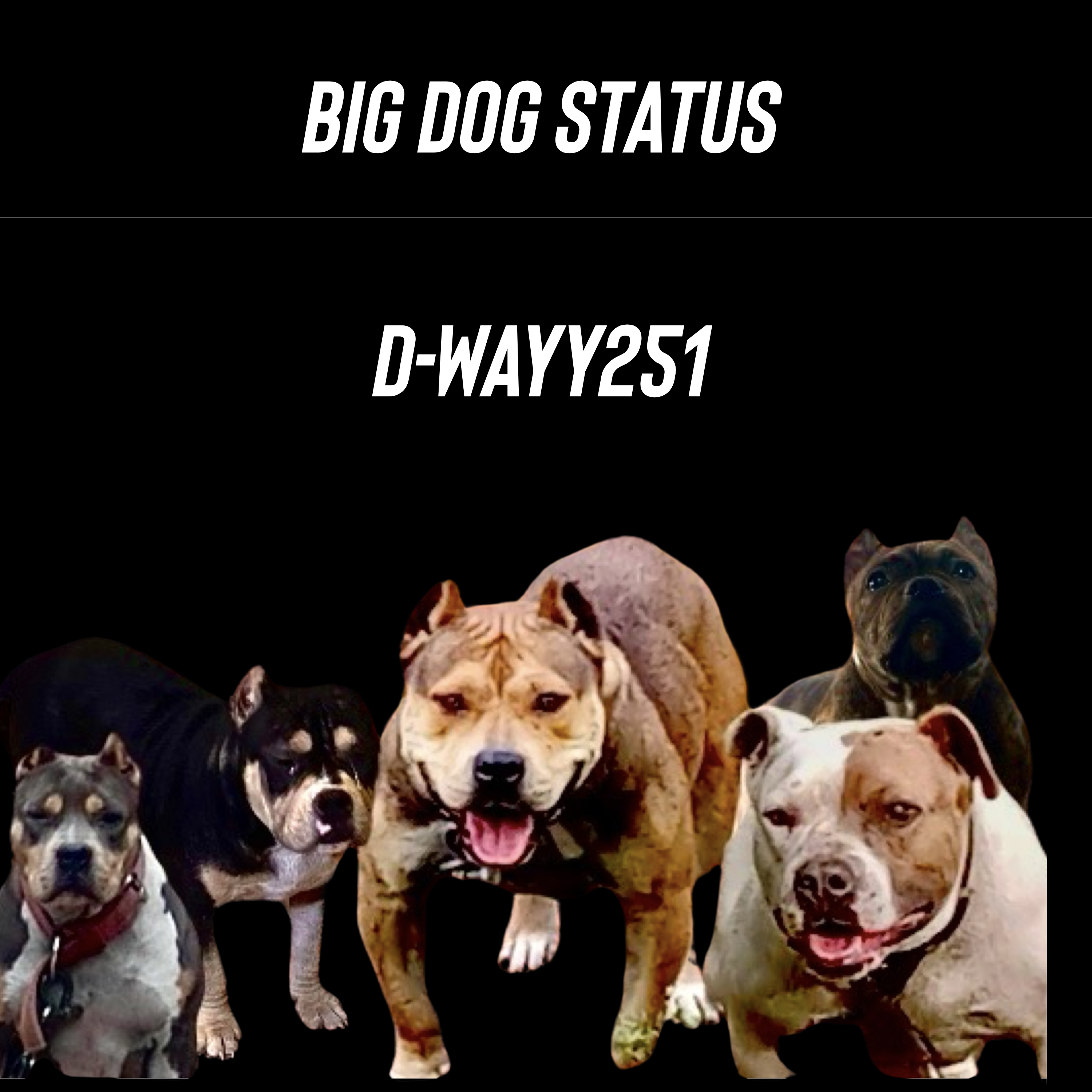 Big Dog Status artwork