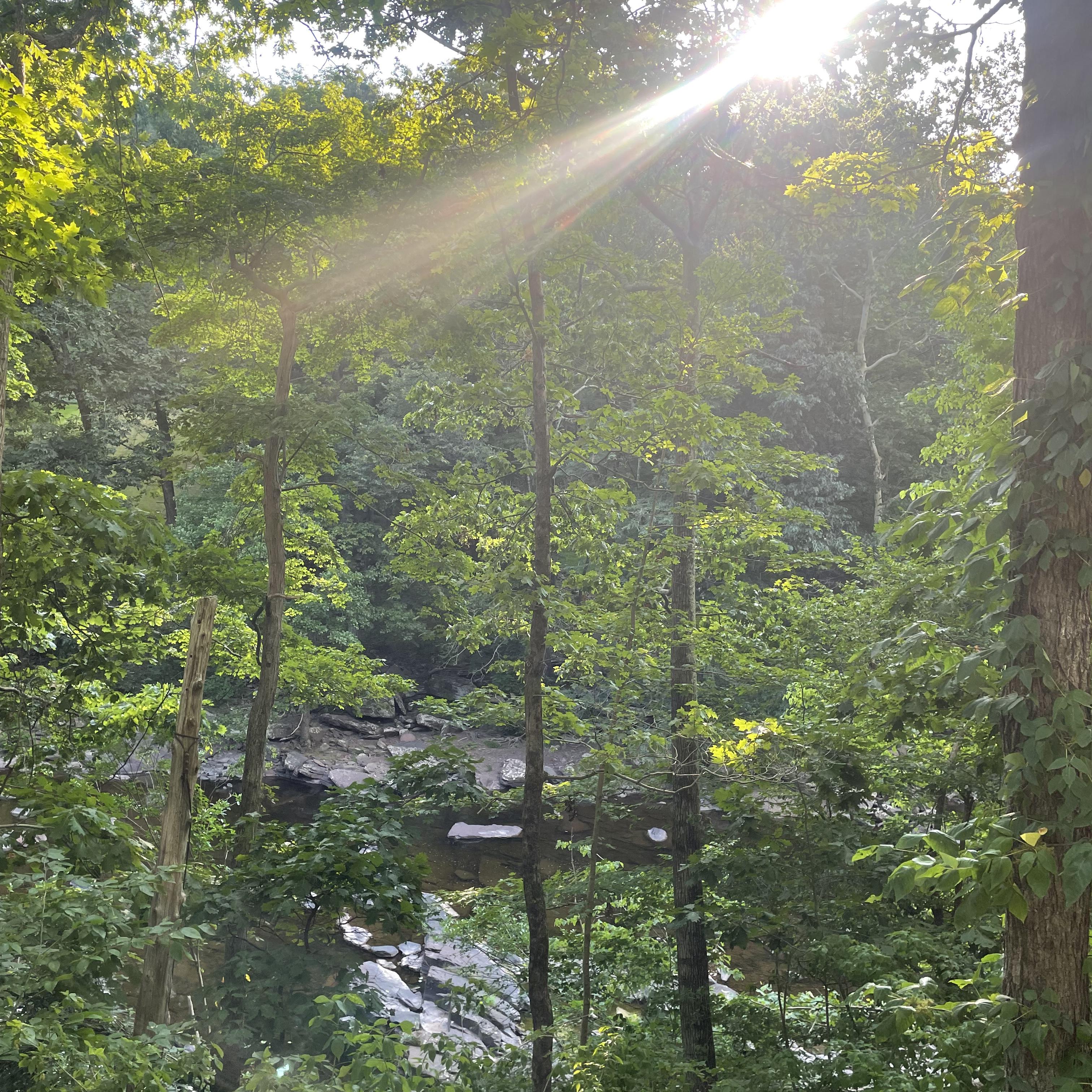 Untouchables artwork