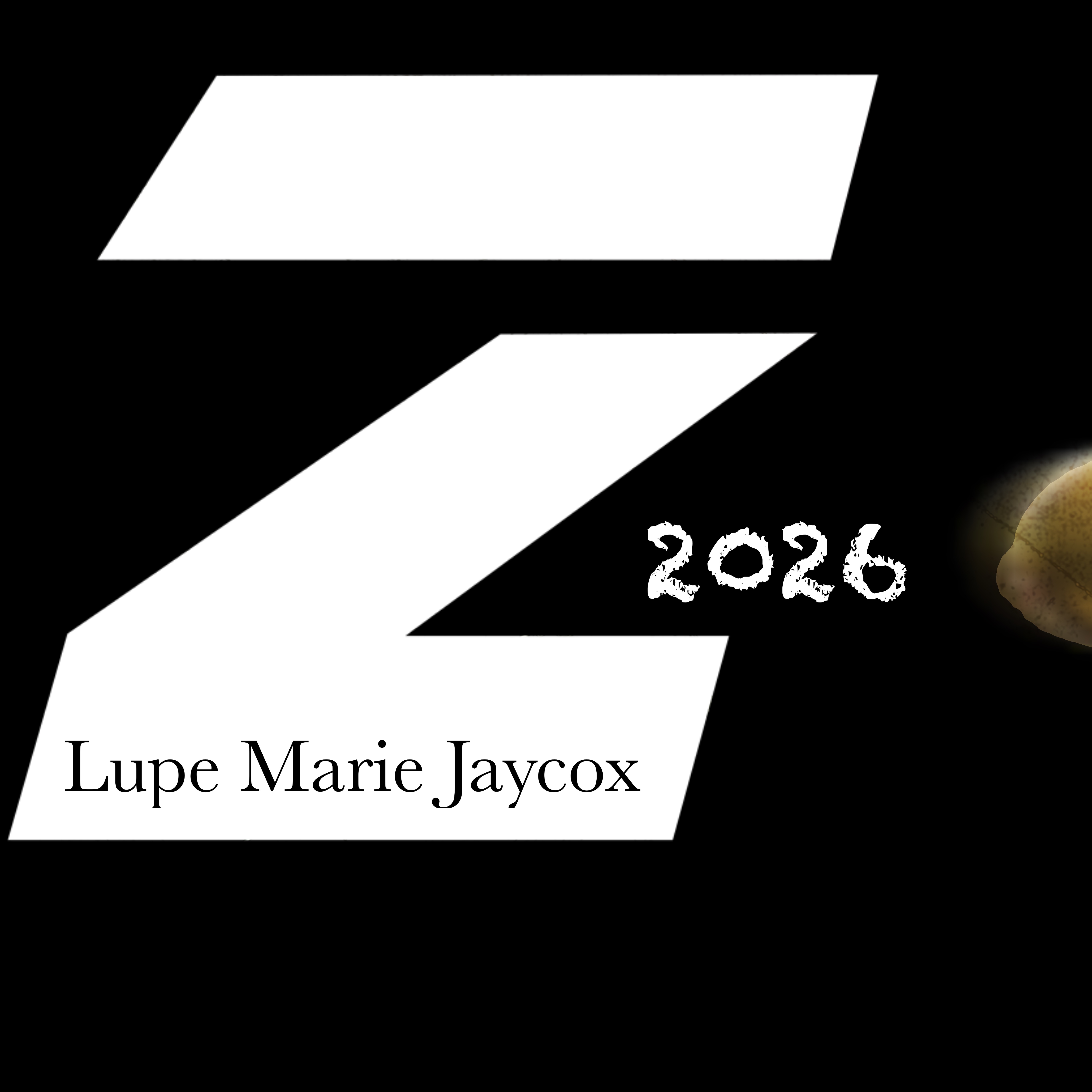 Z artwork