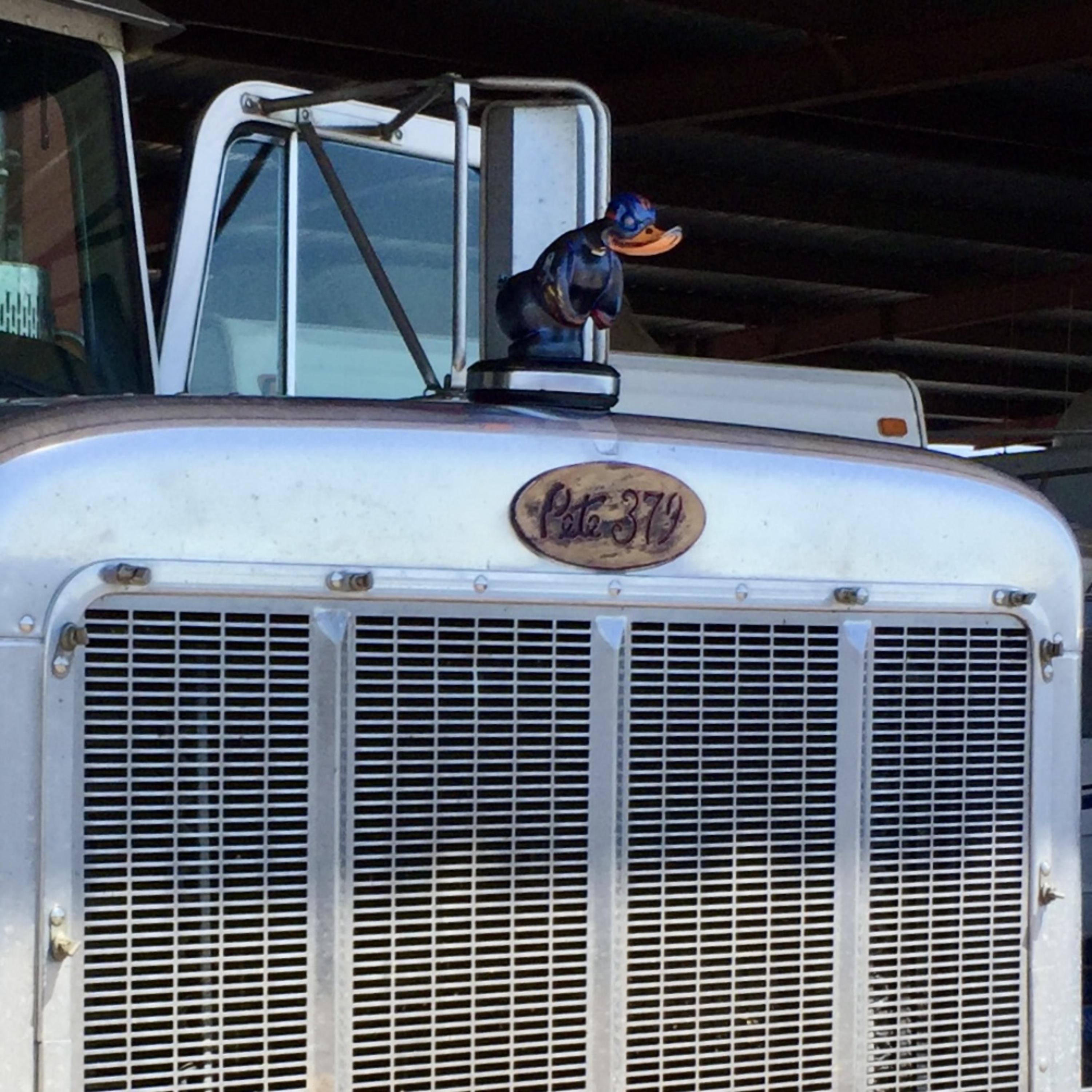 Live Industrial Jam Tekno Drum Kit by The Angry Duckling & His Custom Beats cover art