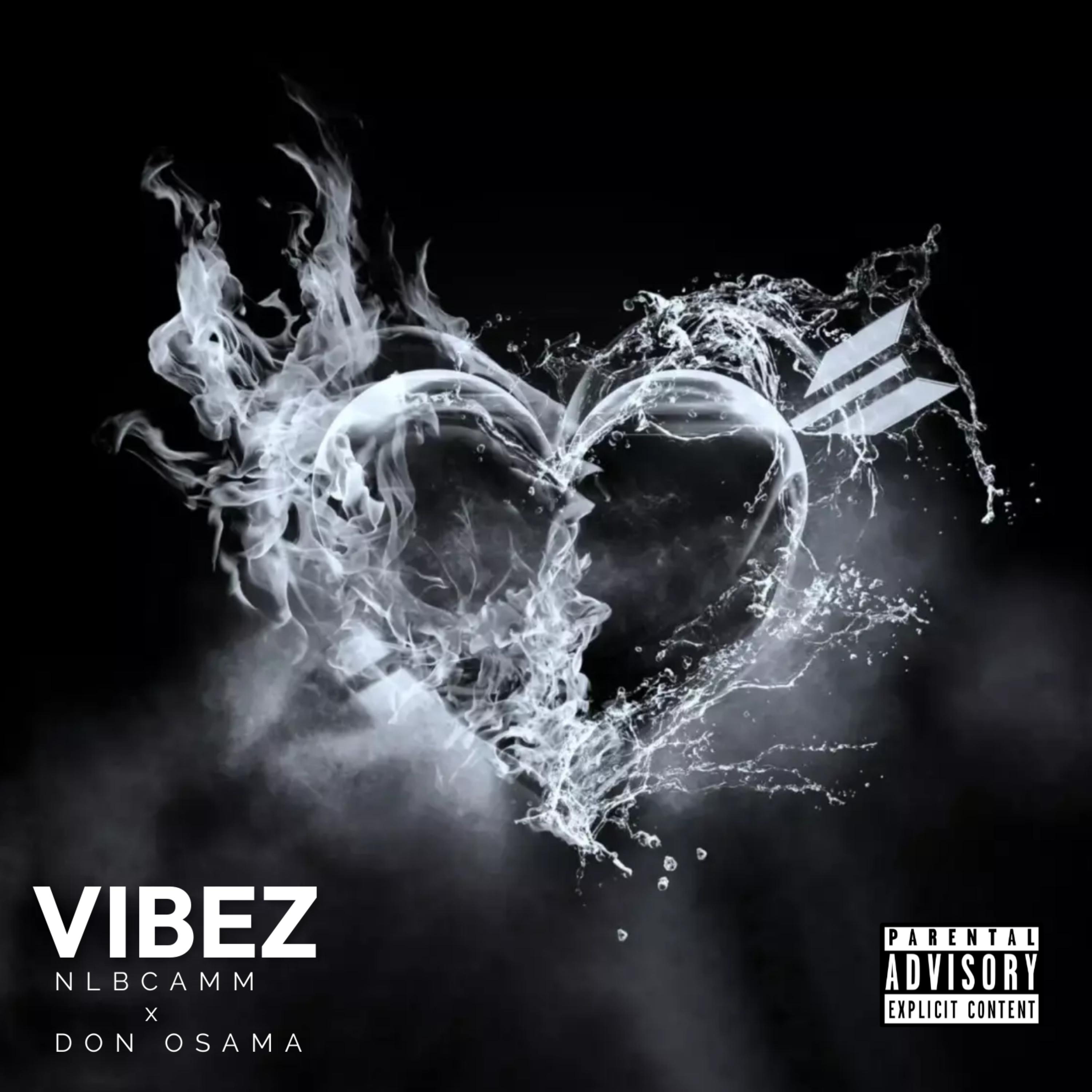 Vibez artwork