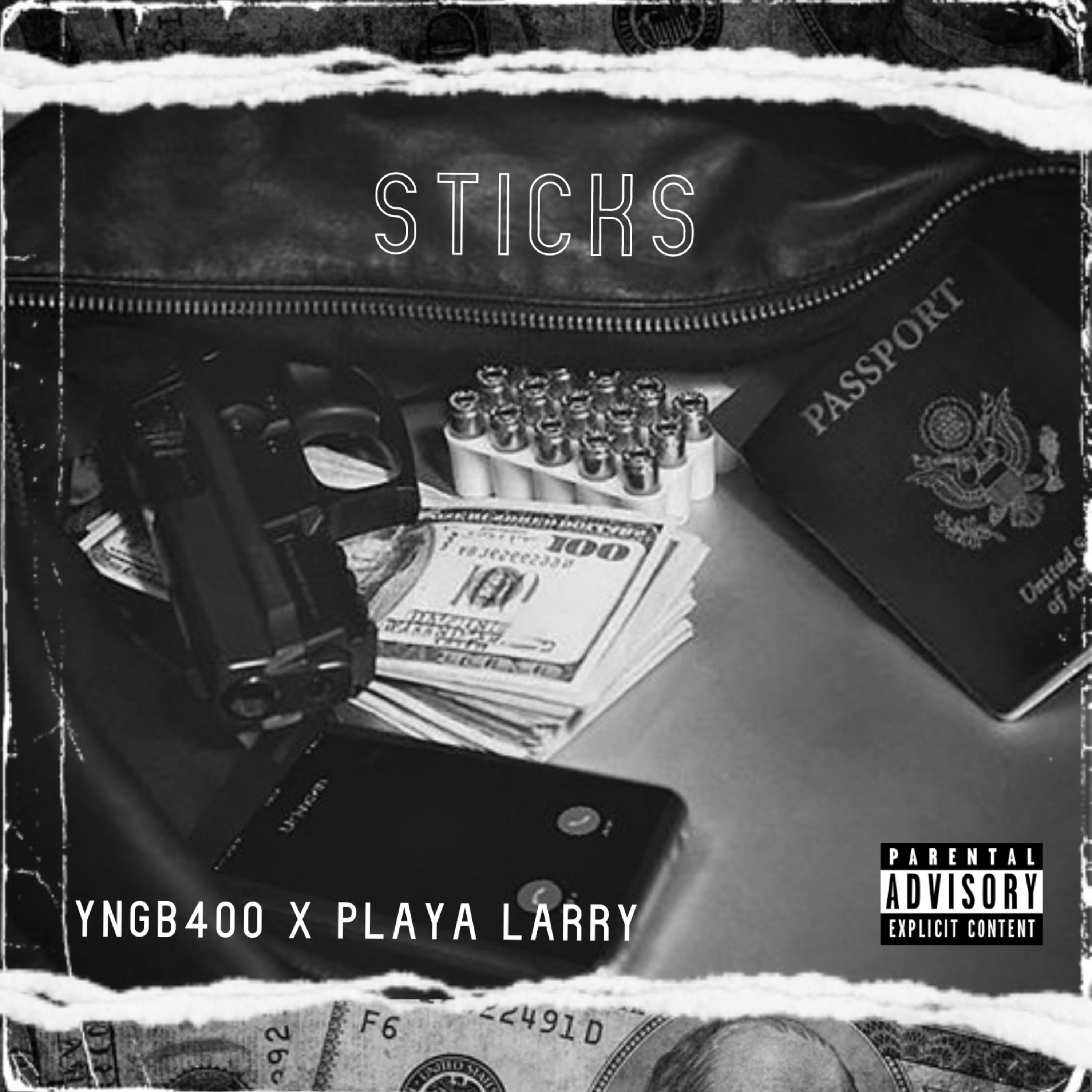 Sticks artwork