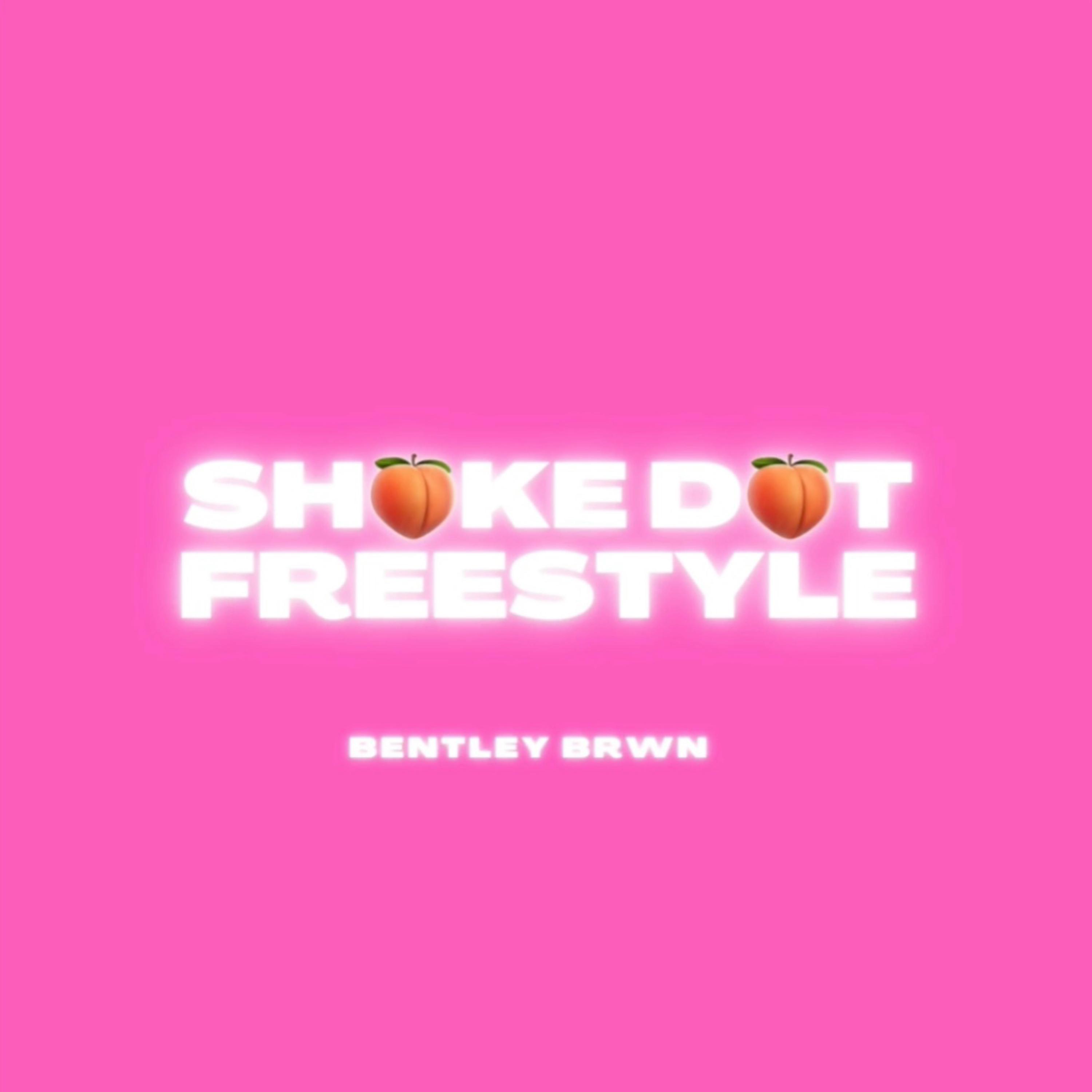 Shake Dat Freestyle artwork