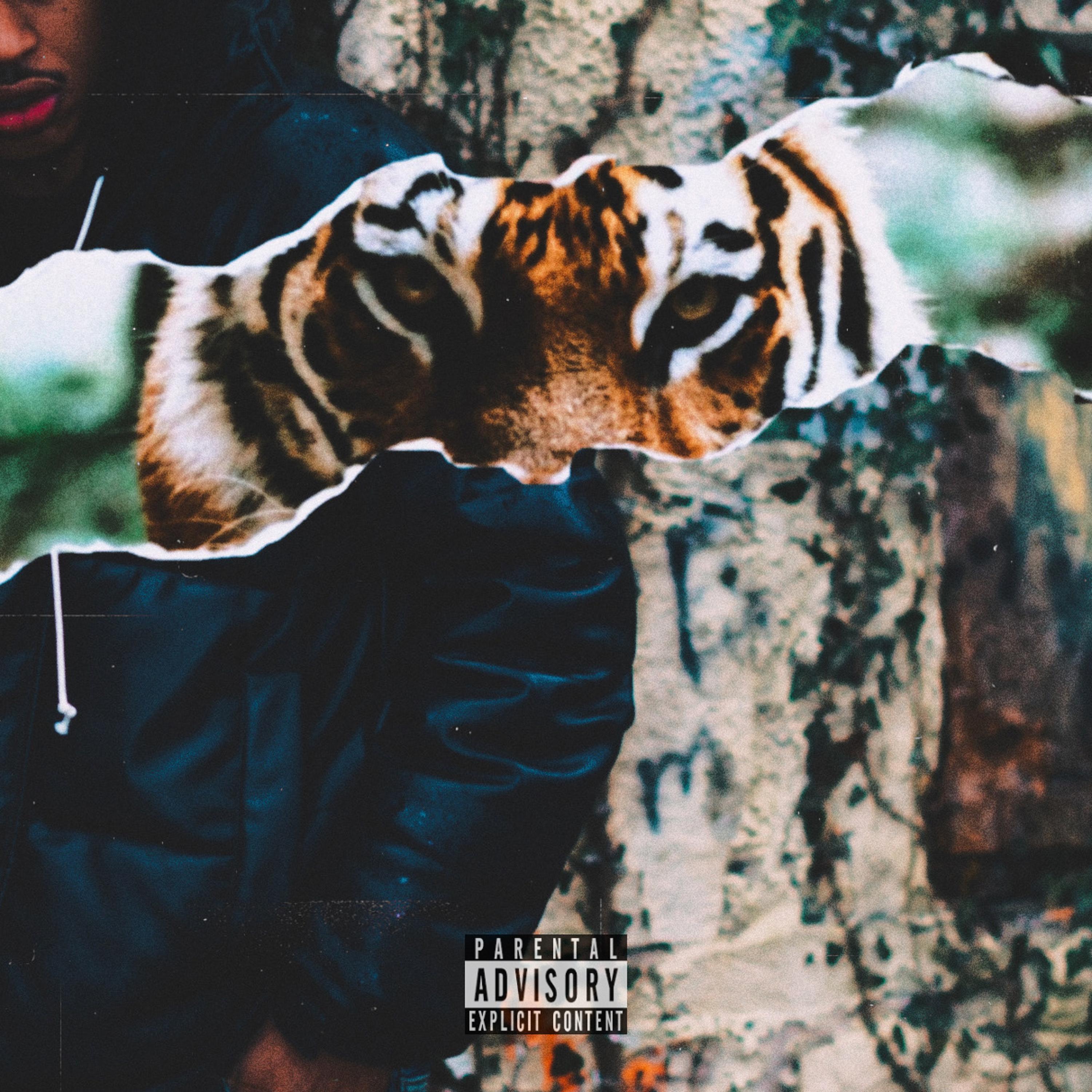 JUNGLE artwork