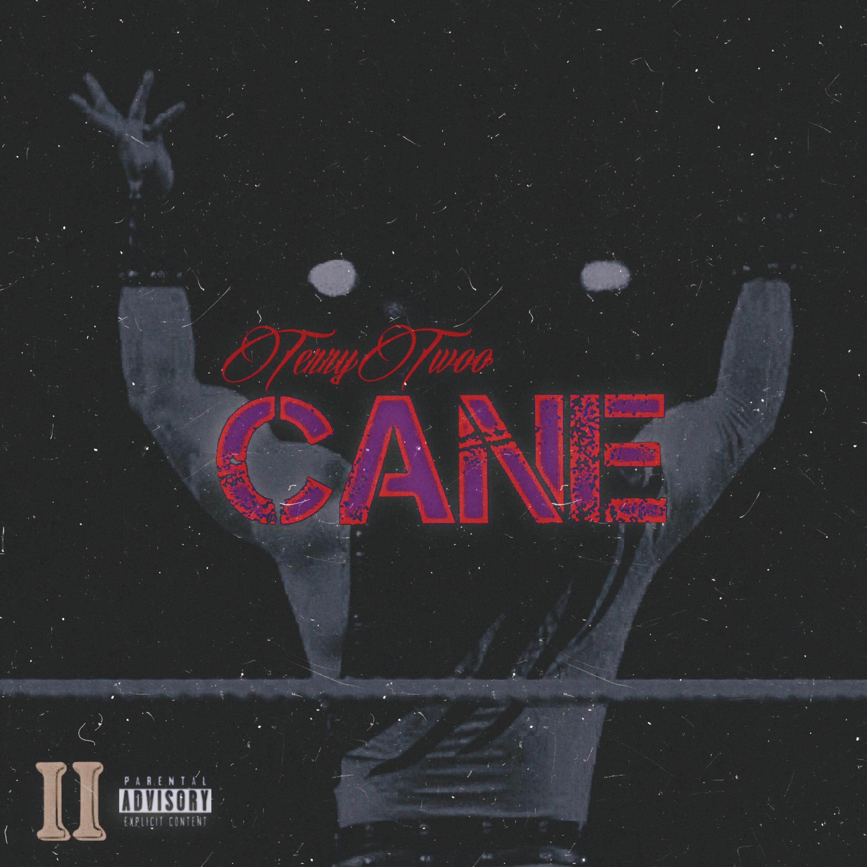 Cane artwork