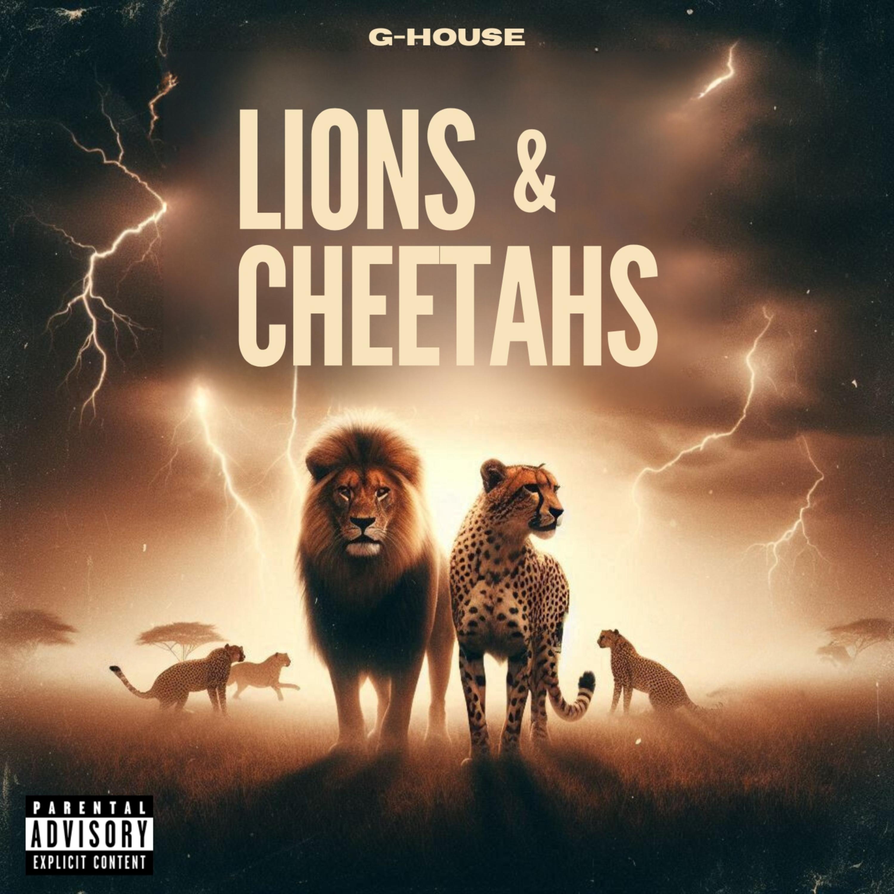 Lions And Cheetahs artwork