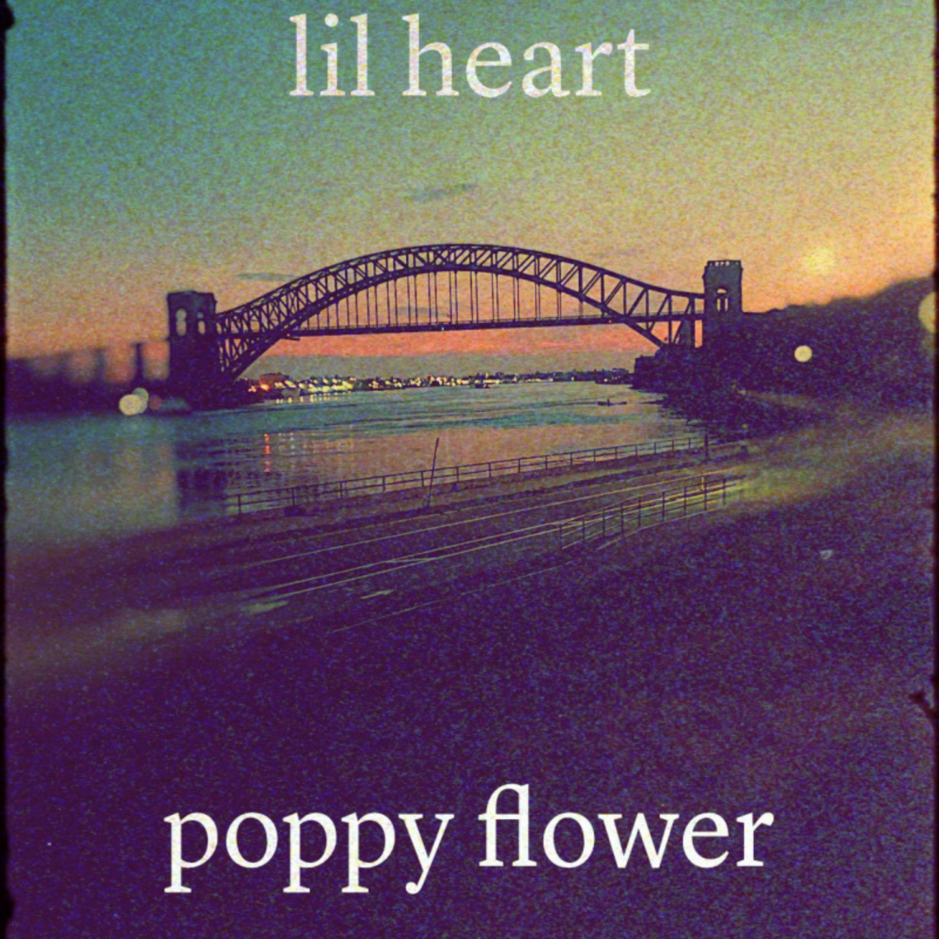 Poppy Flower artwork