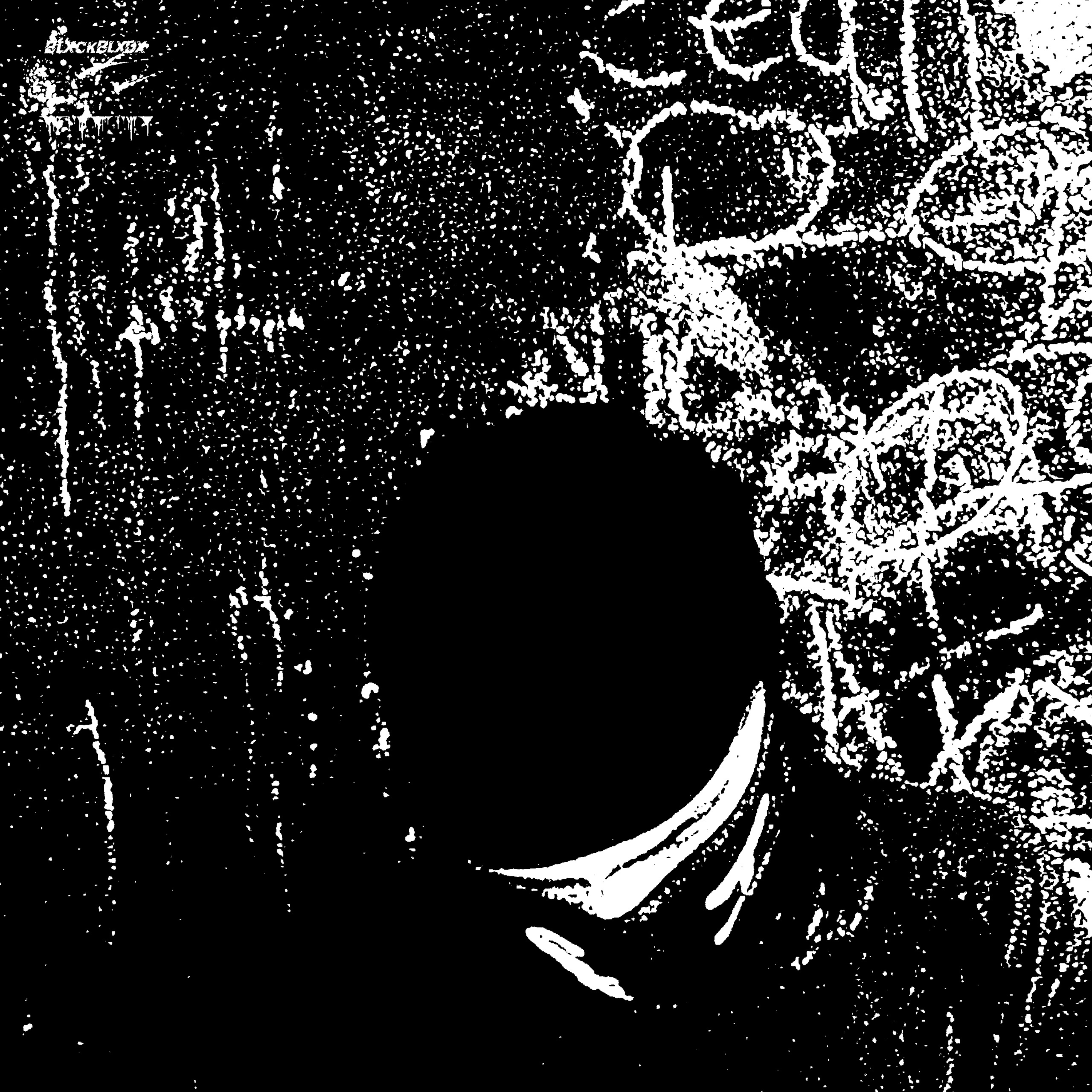 made of flesh artwork