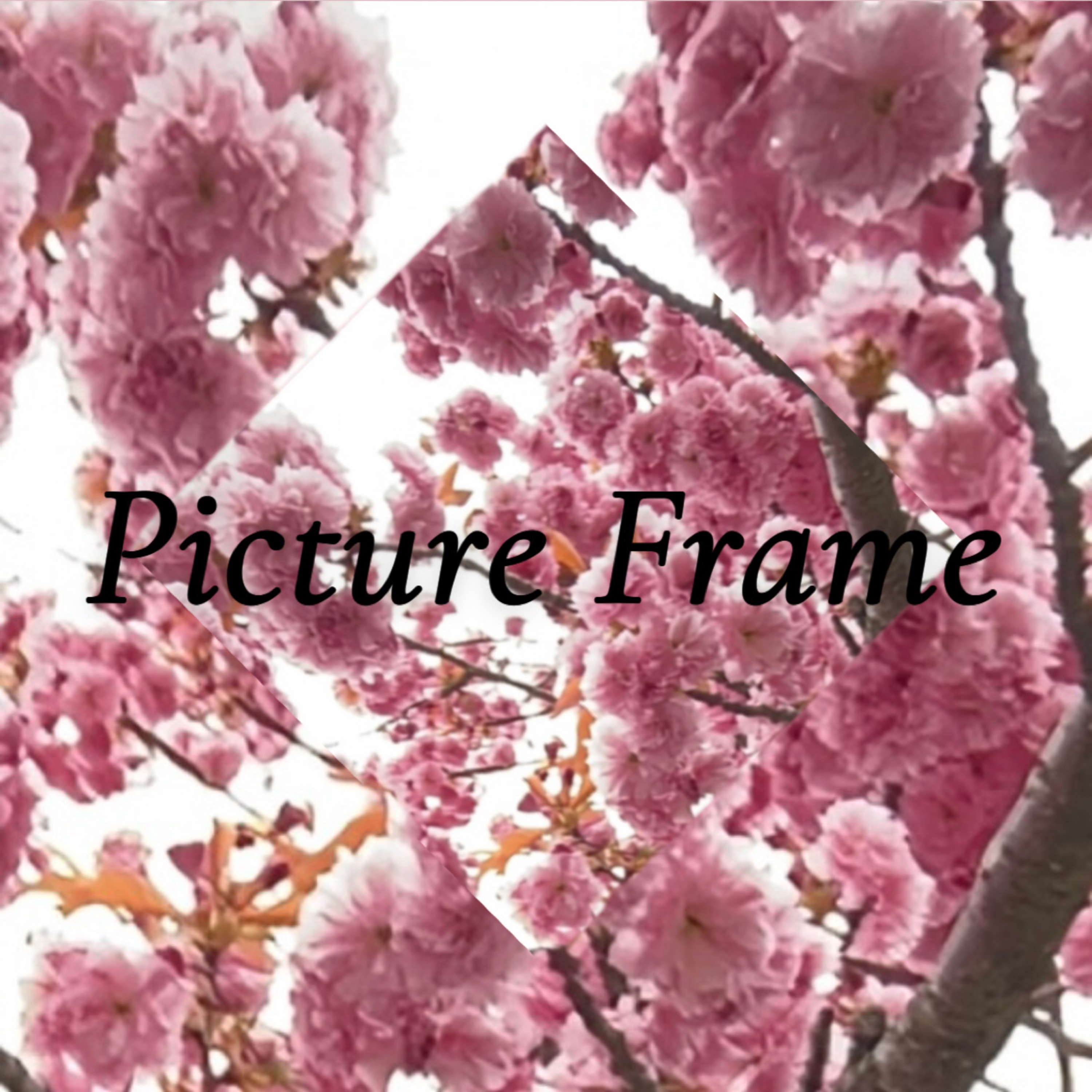 Picture Frame artwork