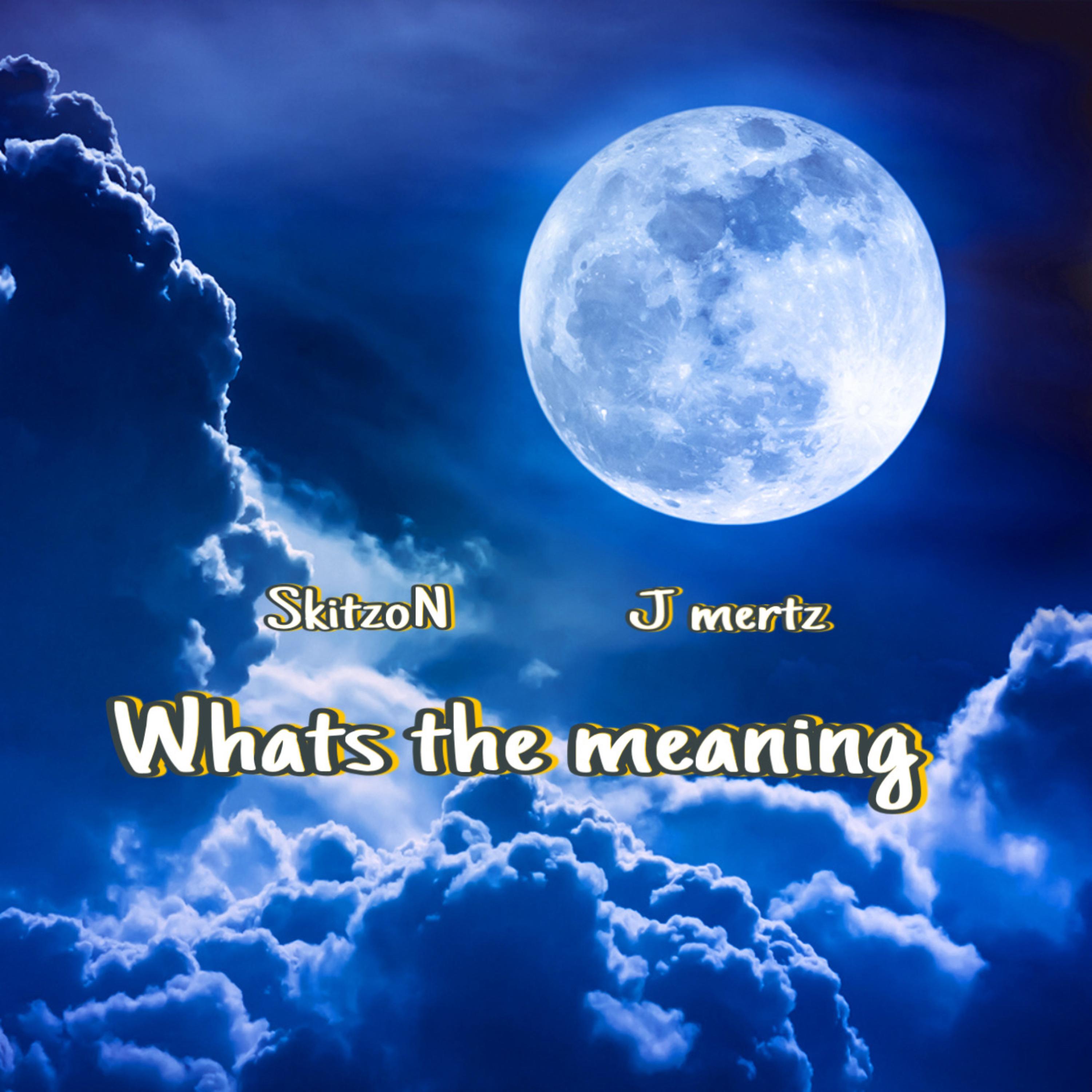 What’s the Meaning artwork