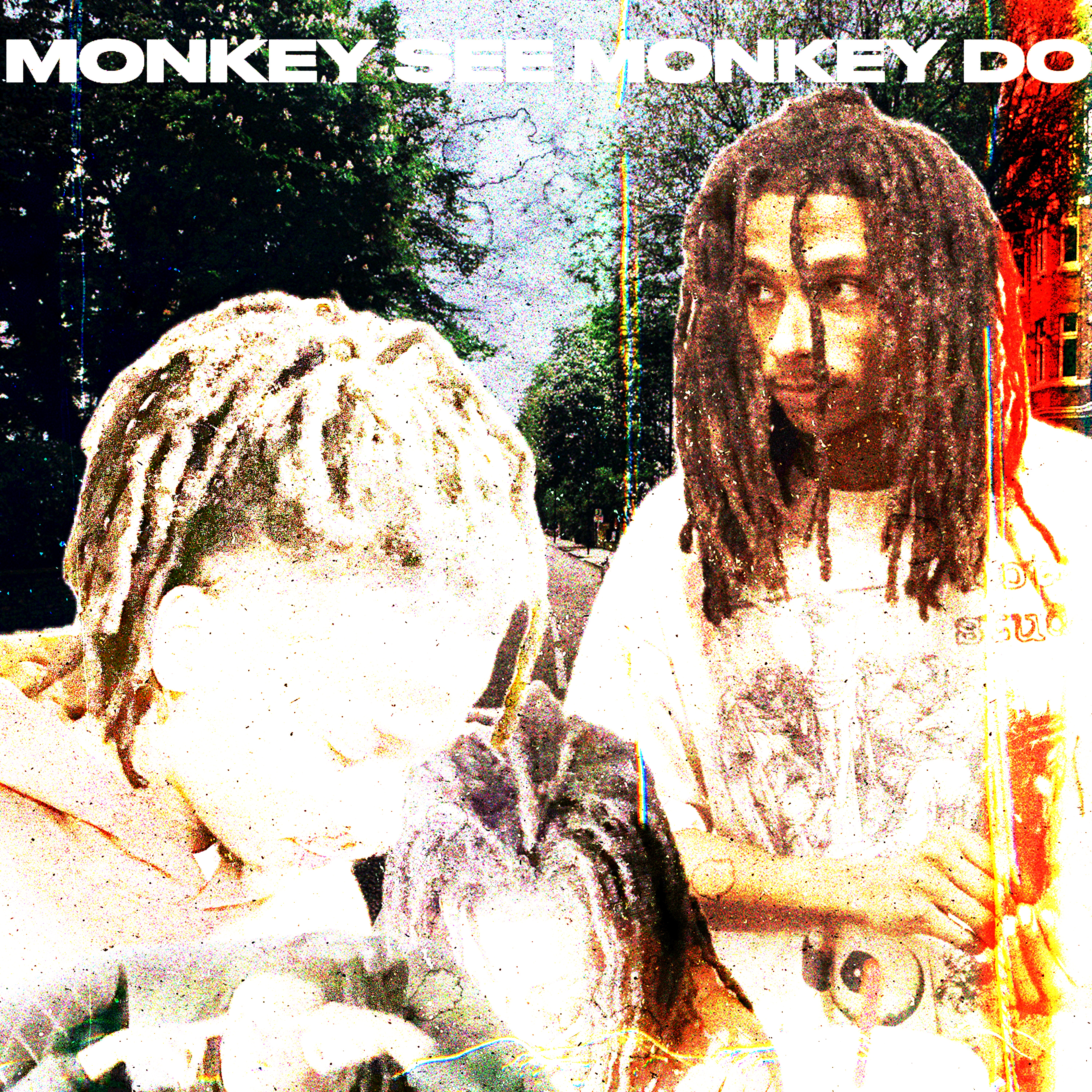MONKEY SEE MONKEY DO artwork