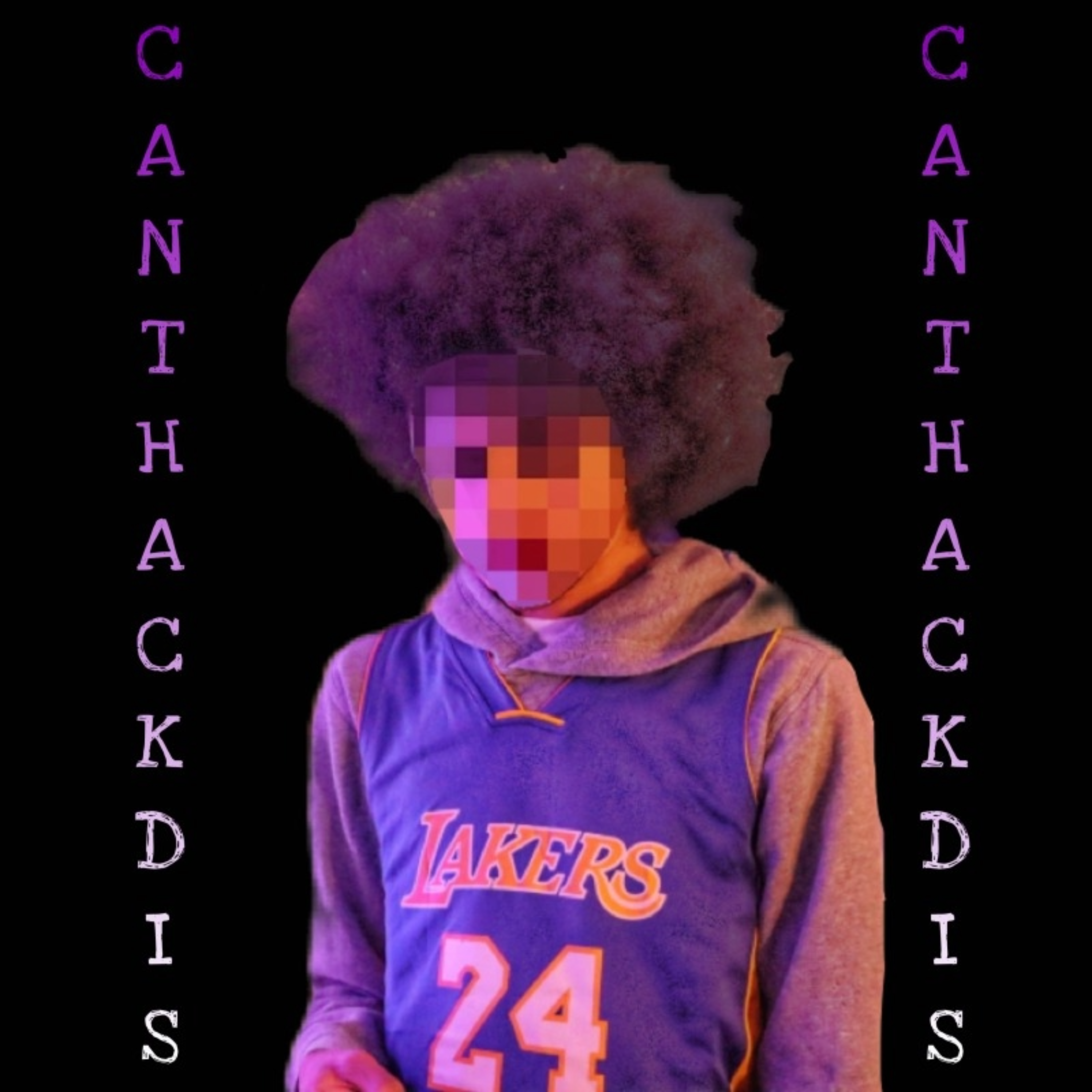 CANT HACK DIS artwork