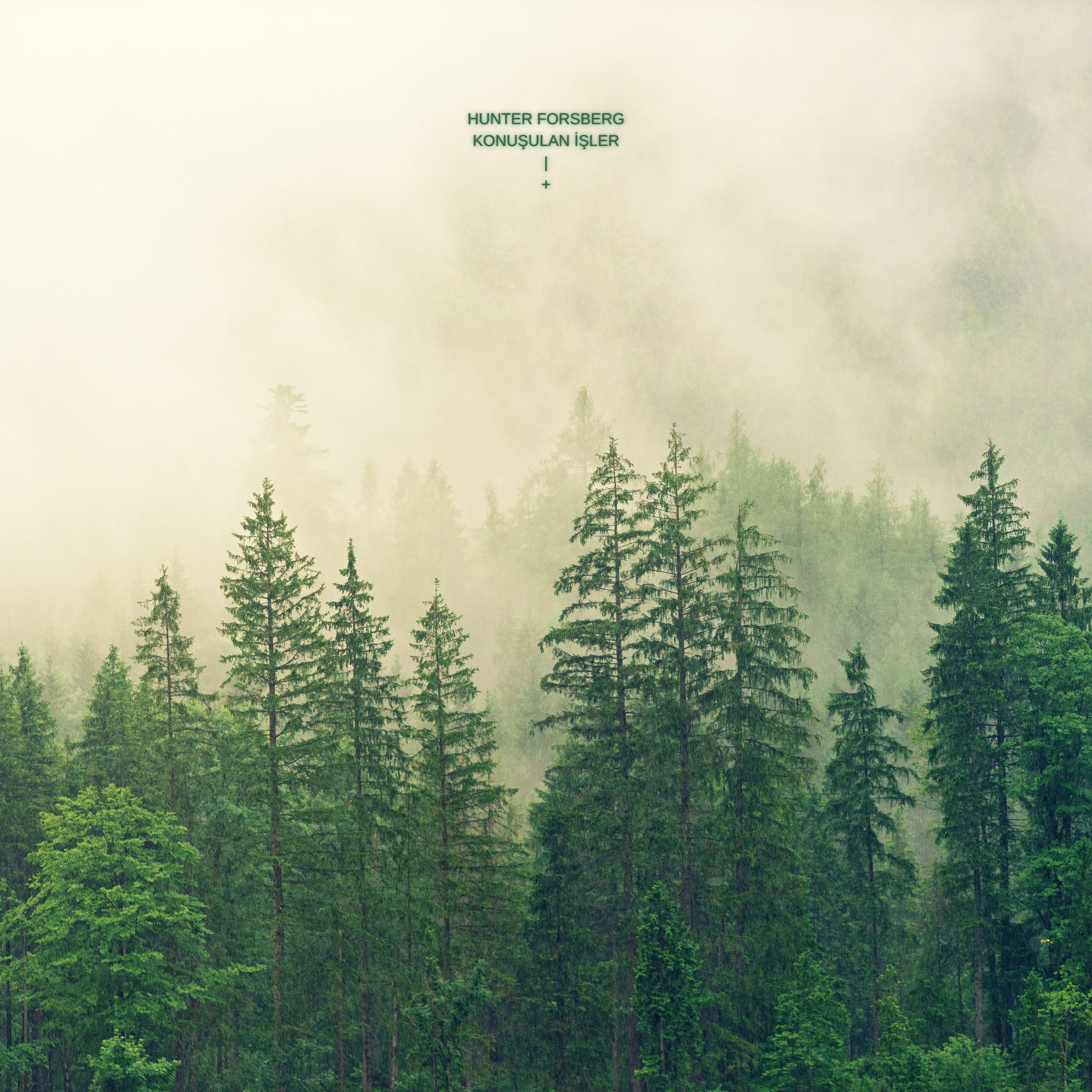 Konuşulan İşler artwork