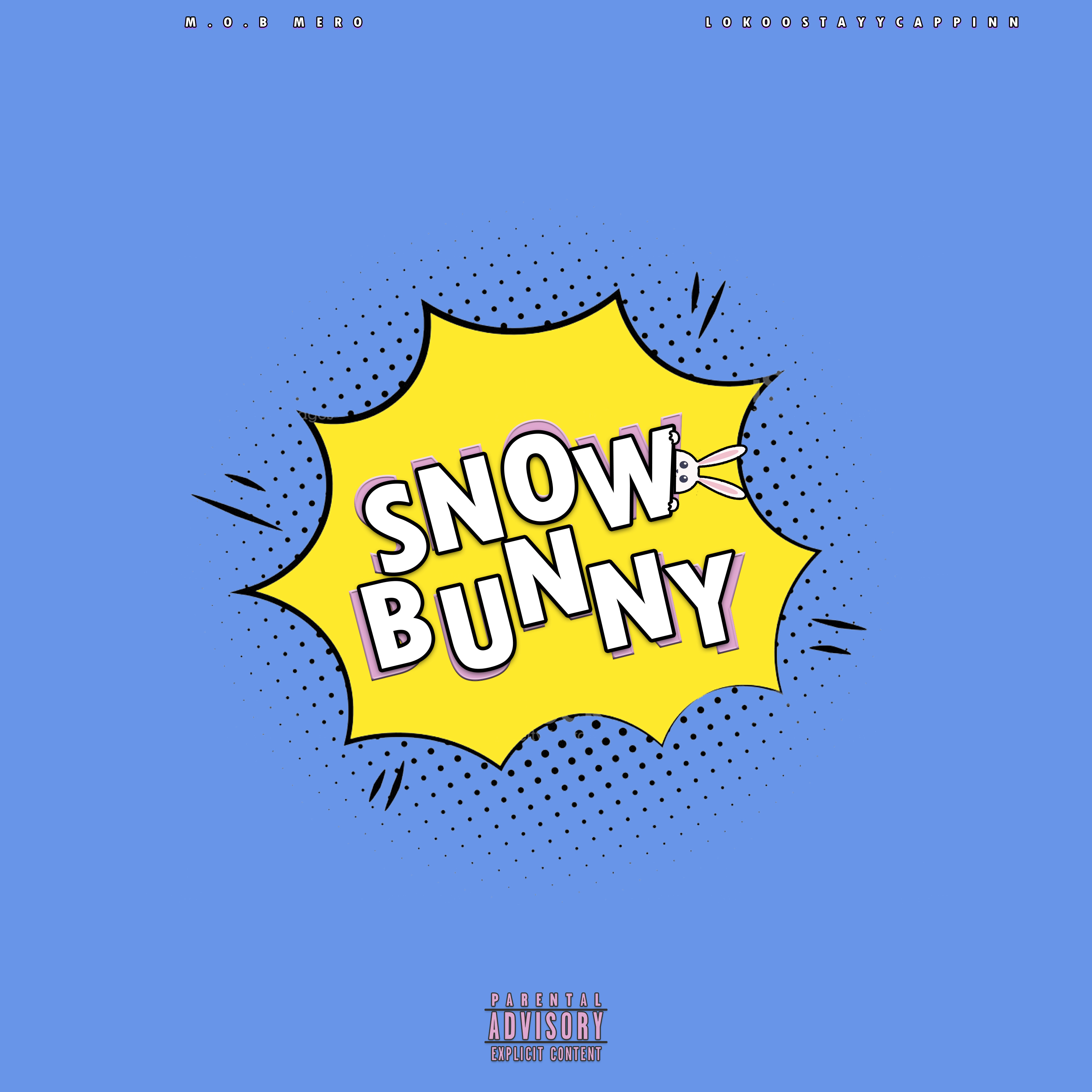 Snow Bunny artwork