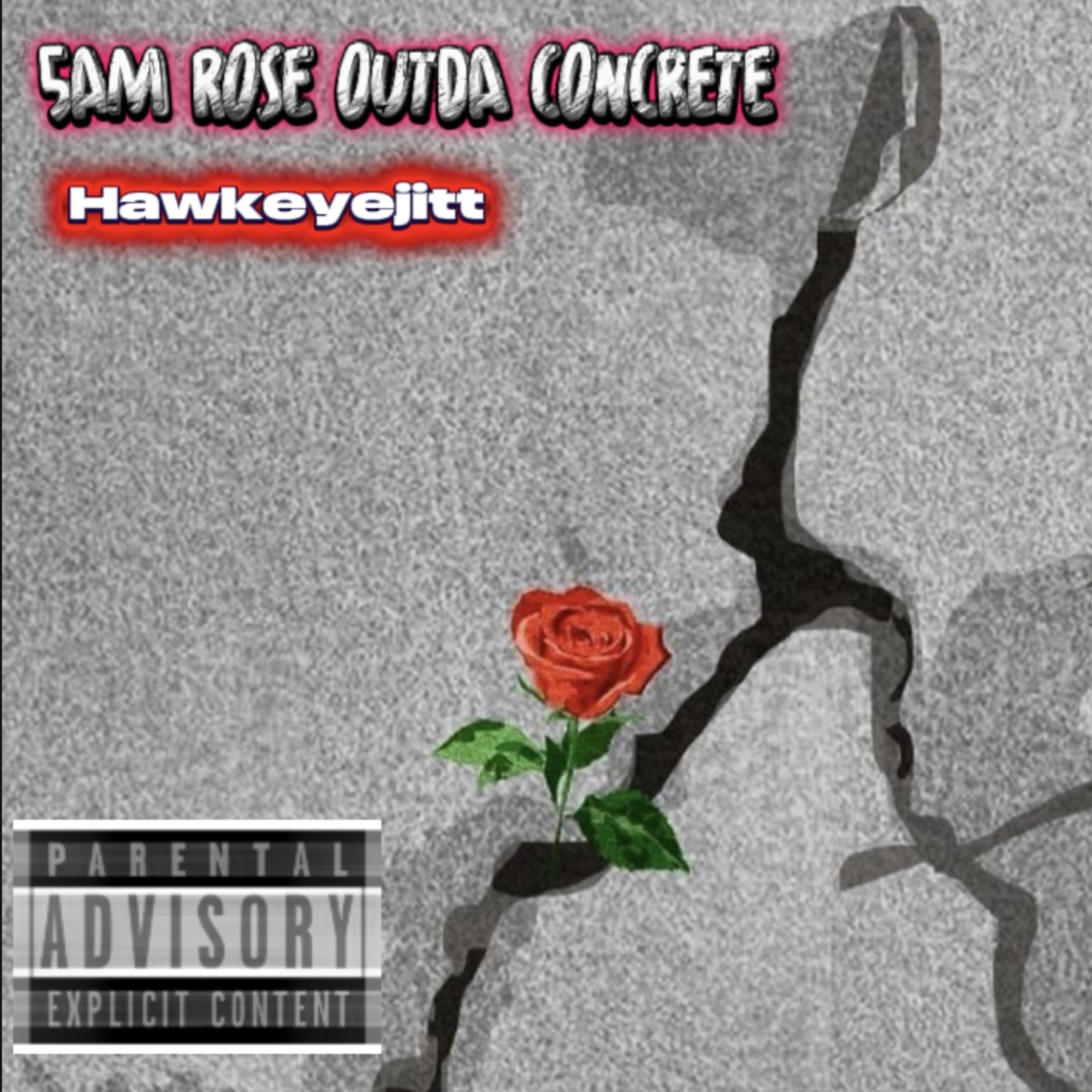 5AM ROSE OUTDA CONCRETE artwork