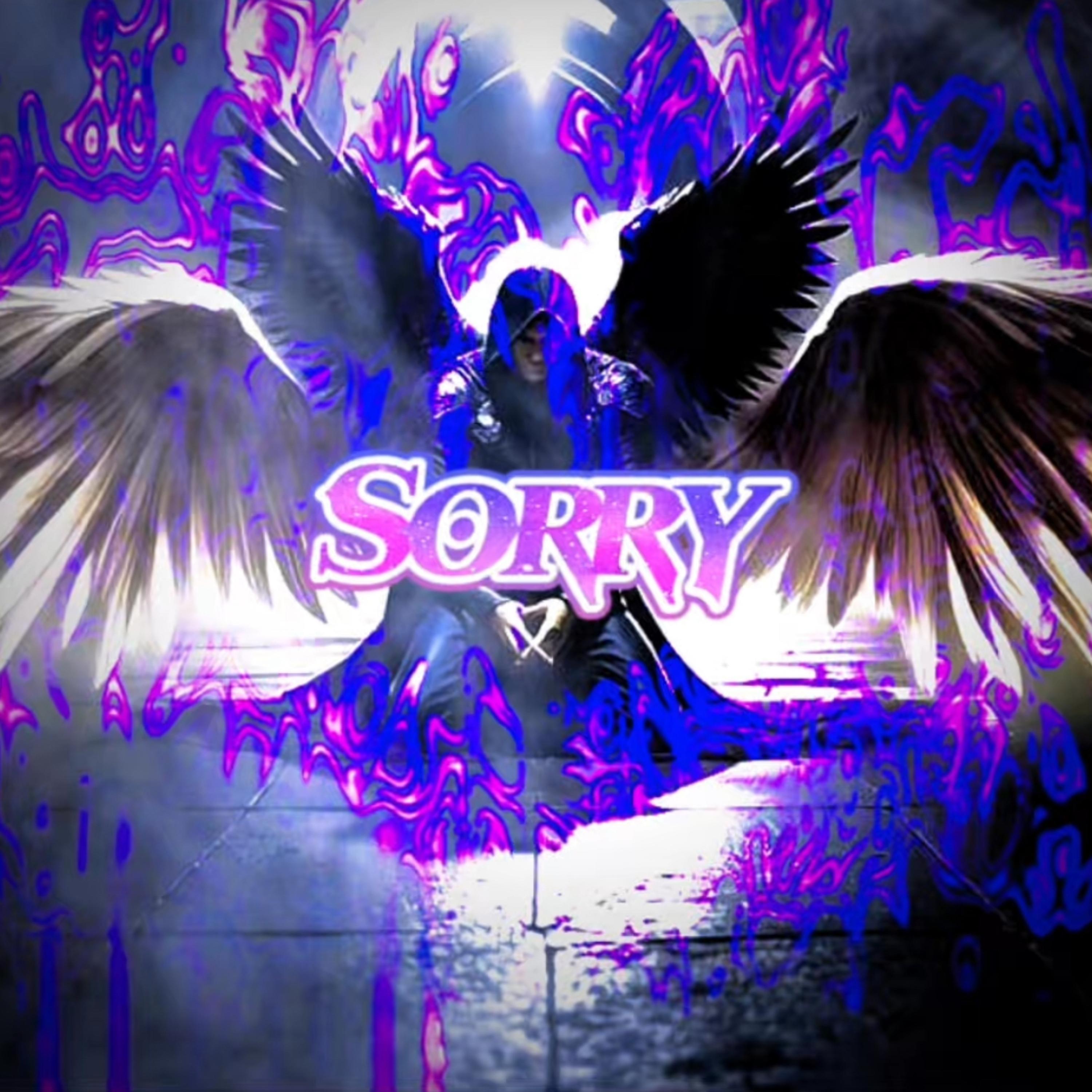Sorry artwork