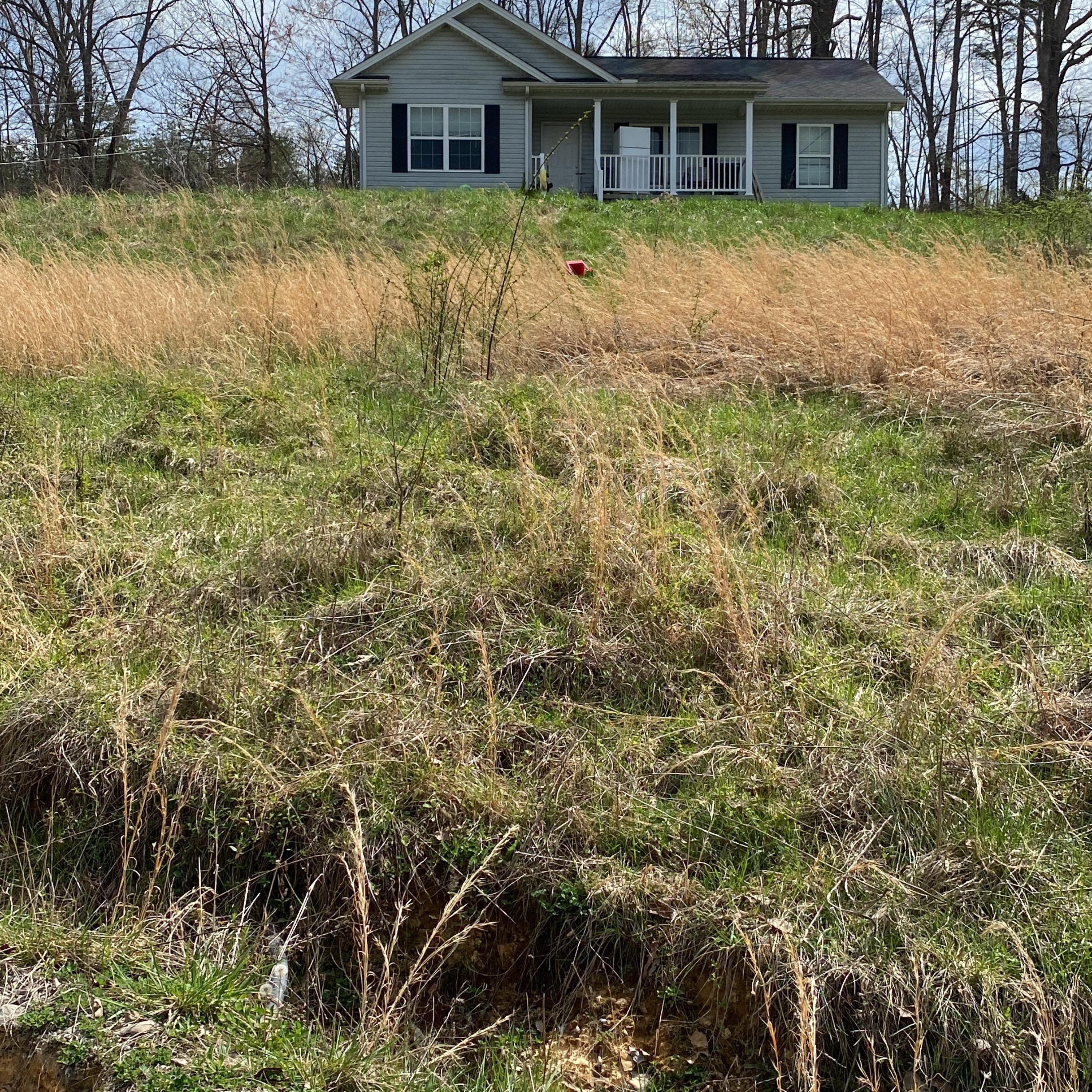 The Mountain Sound Freestyle artwork